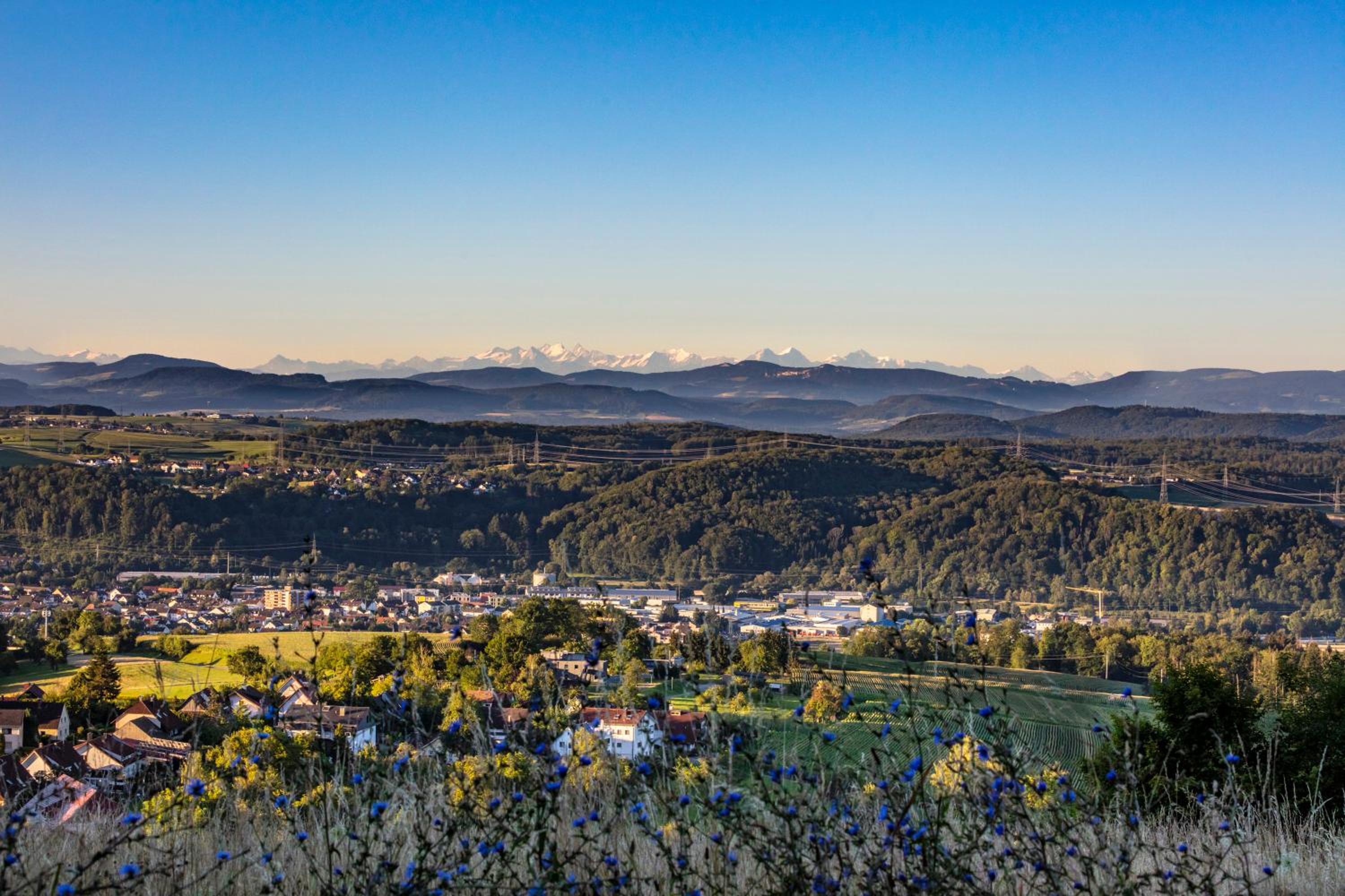 Ferienwohnung im Alpenblick