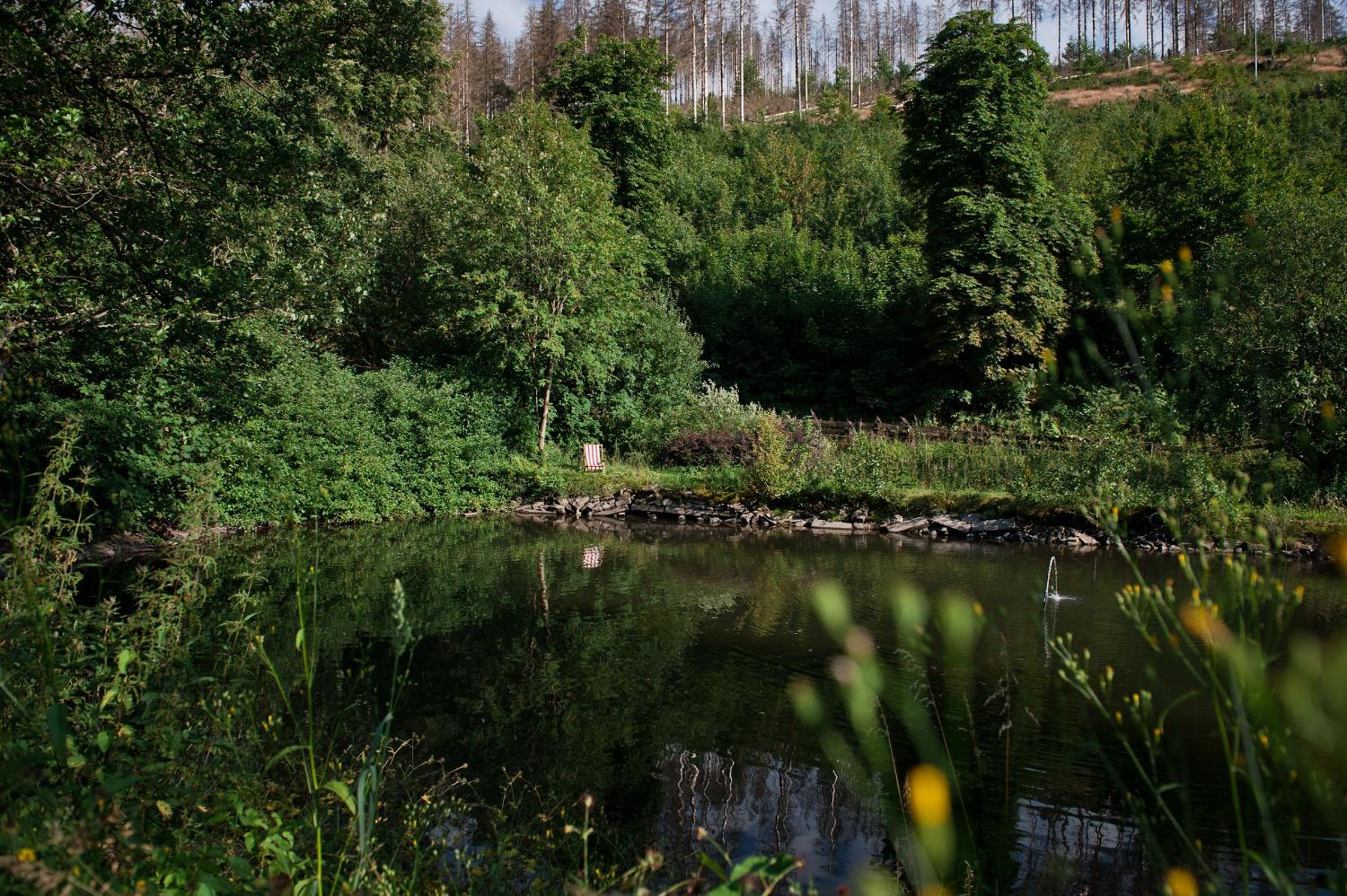 Tiny House Nature 17 - Green Tiny Village Harz