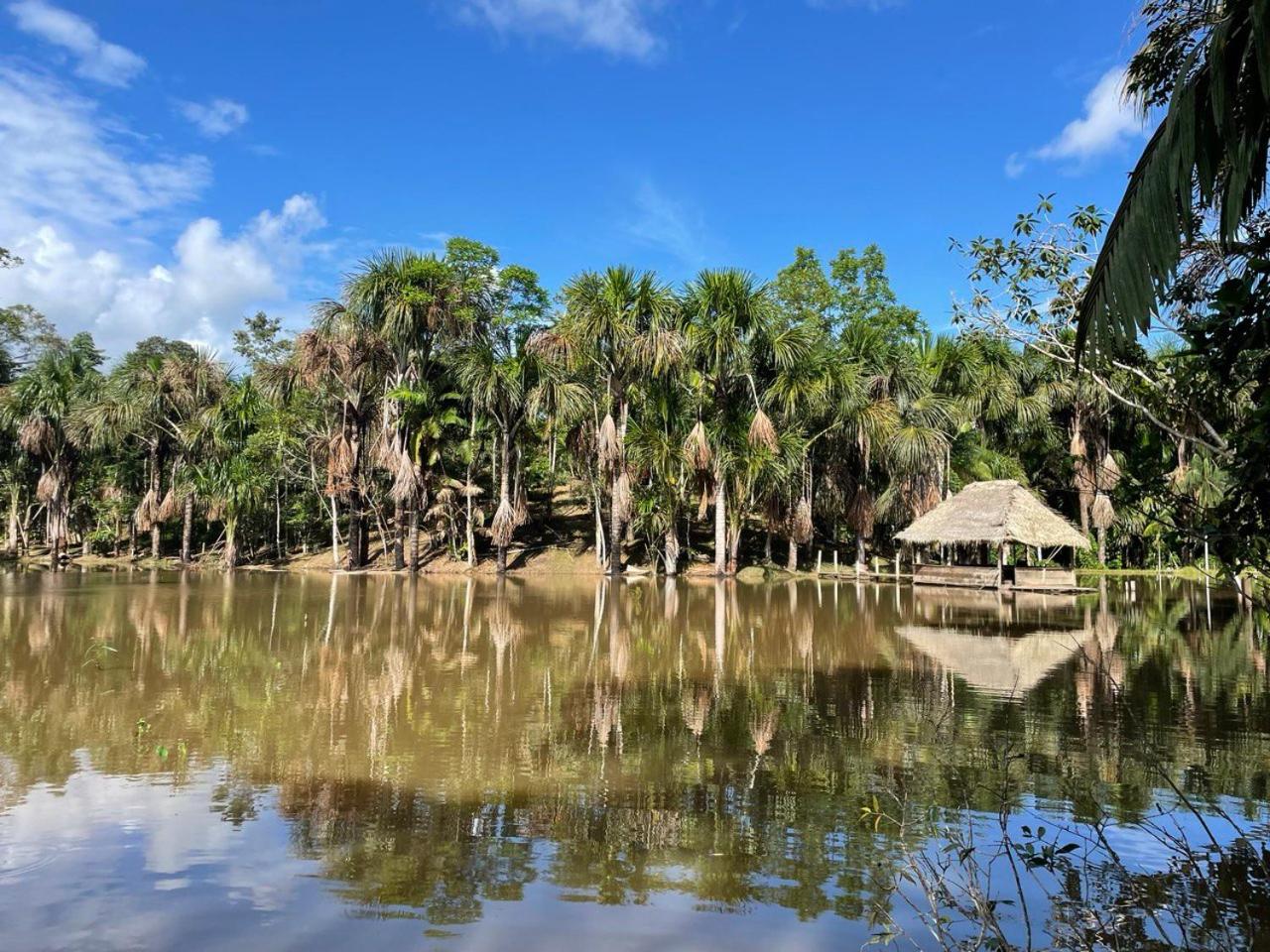 Camu camu jungle villa on Aguajale lake