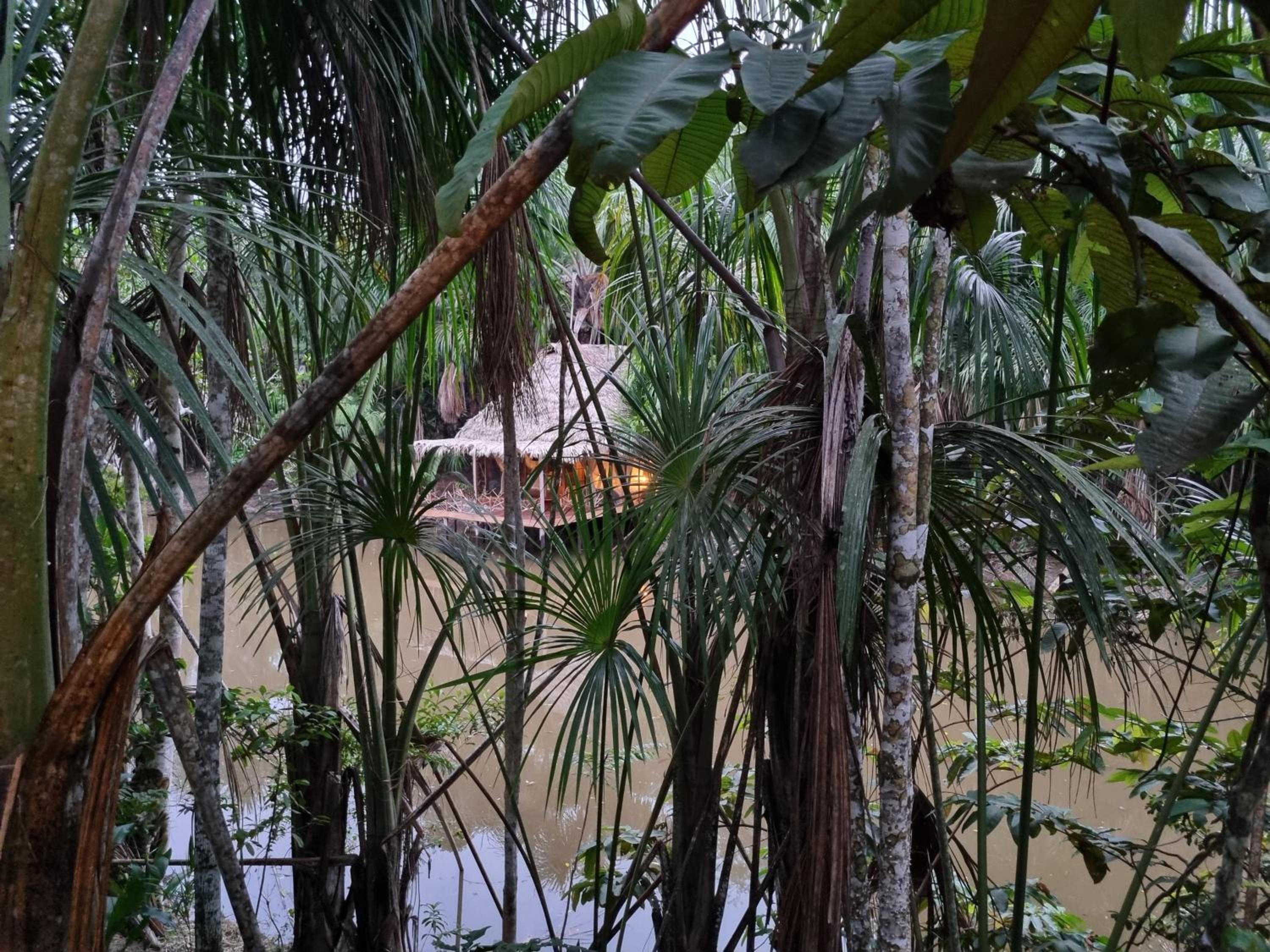 Camu camu jungle villa on Aguajale lake