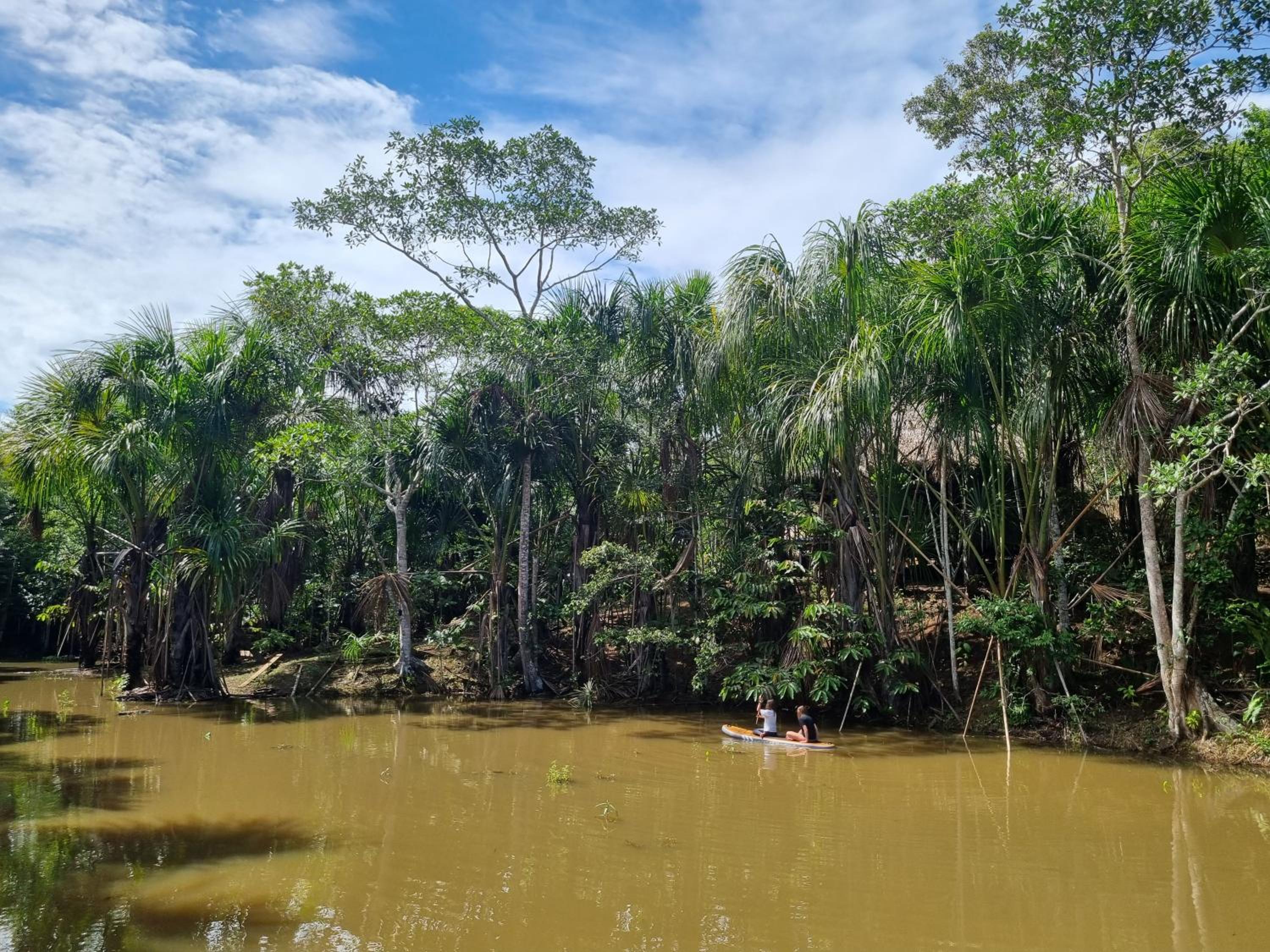 Camu camu jungle villa on Aguajale lake