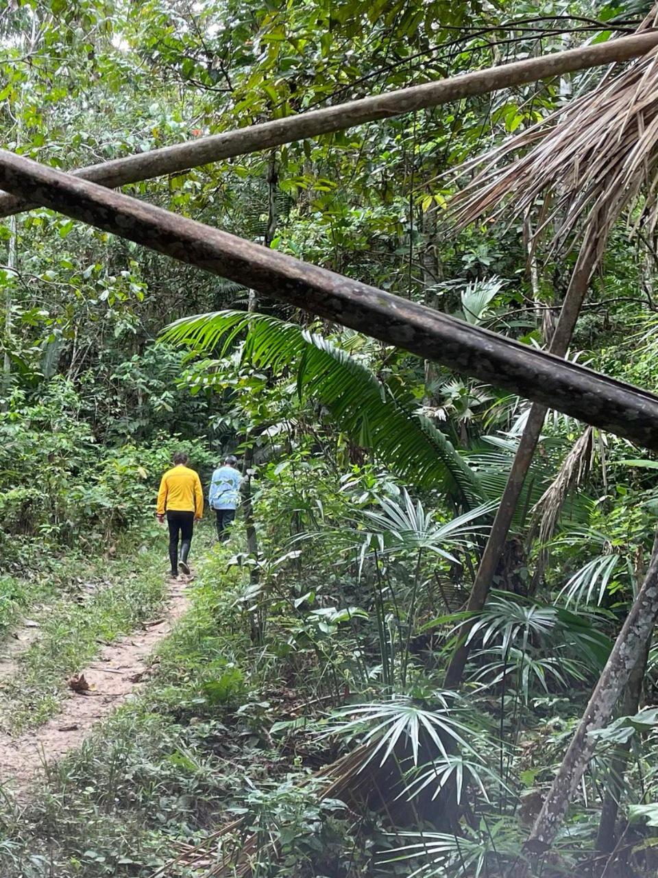 Camu camu jungle villa on Aguajale lake