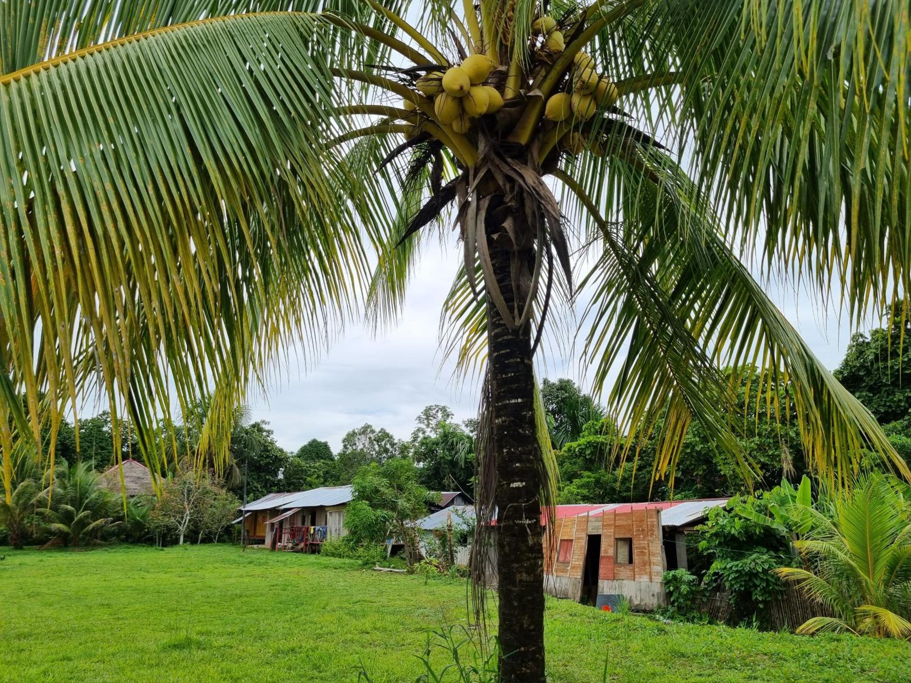 Camu camu jungle villa on Aguajale lake