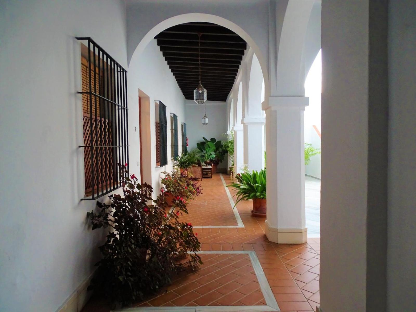 ACOGEDOR APARTAMENTO EN SANLUCAR DE BARRAMEDA