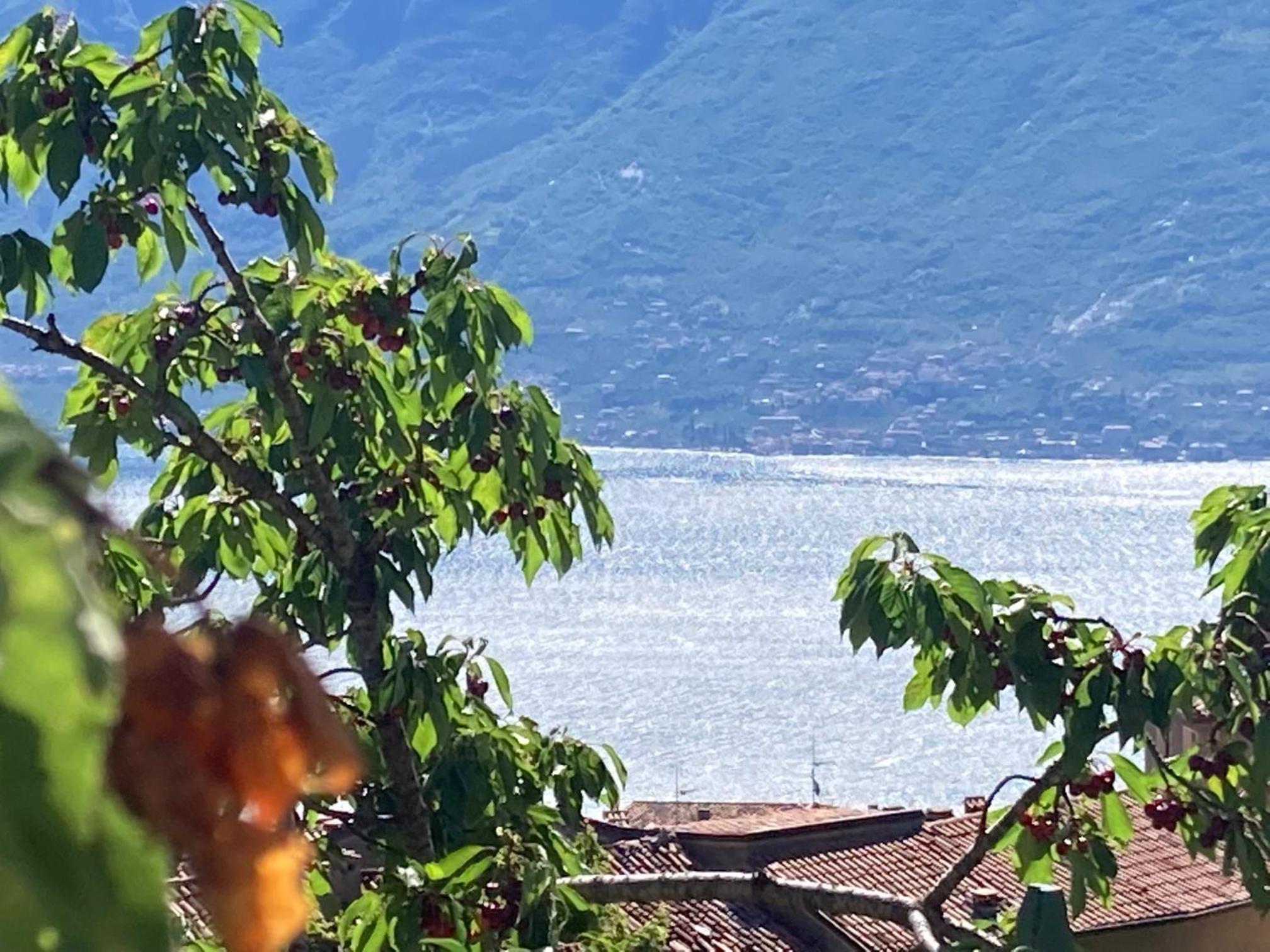Villa Dora Gardasee photo 3