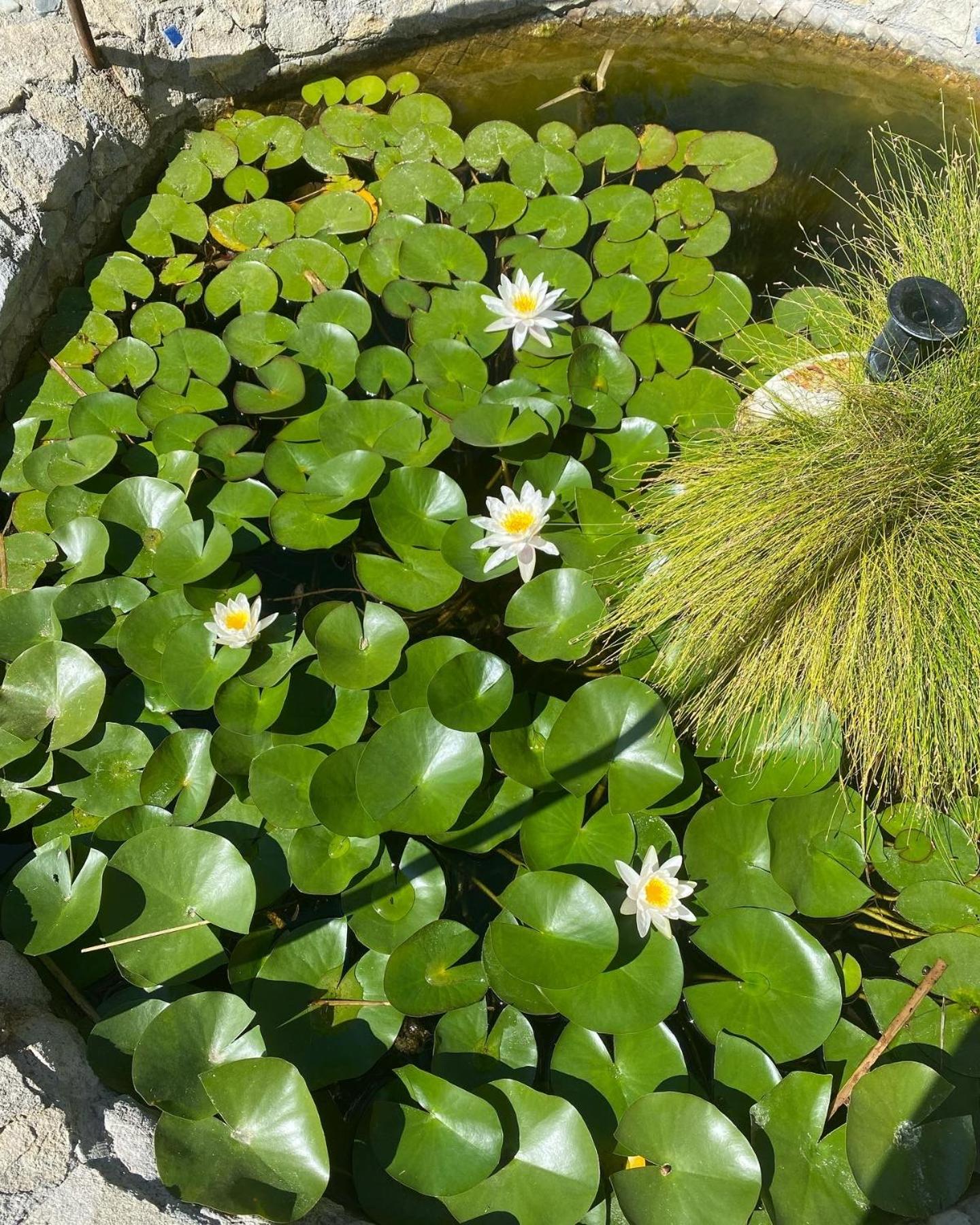 B&B Il Giardino Delle Meraviglie