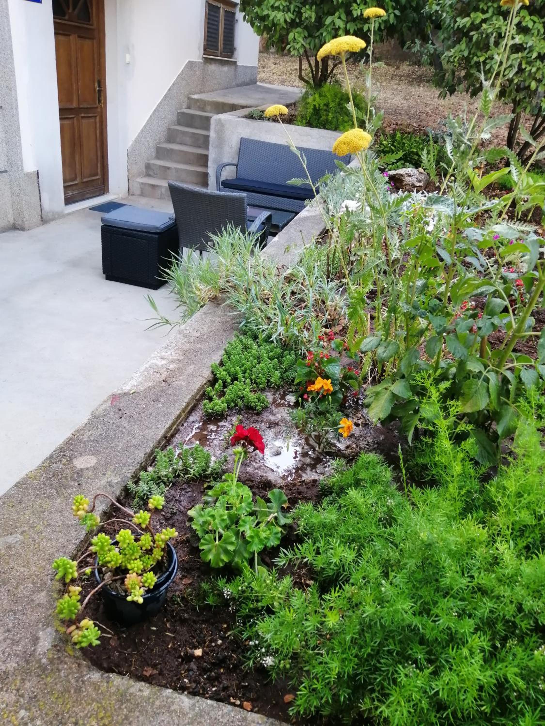 Apartman Marija