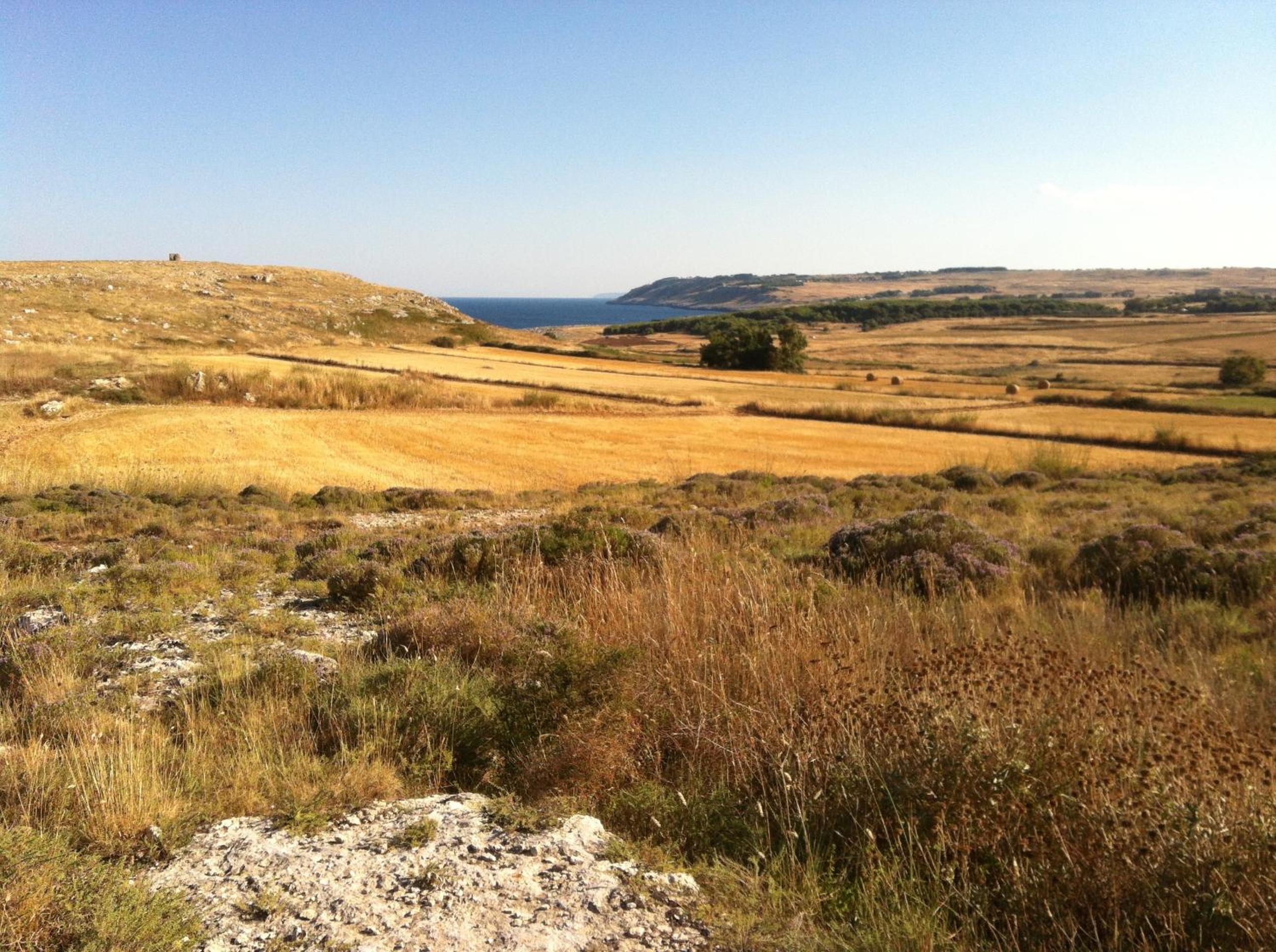 Photo 45