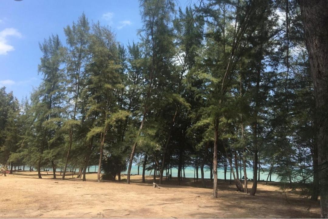 D'Salbiah Homestay photo 2
