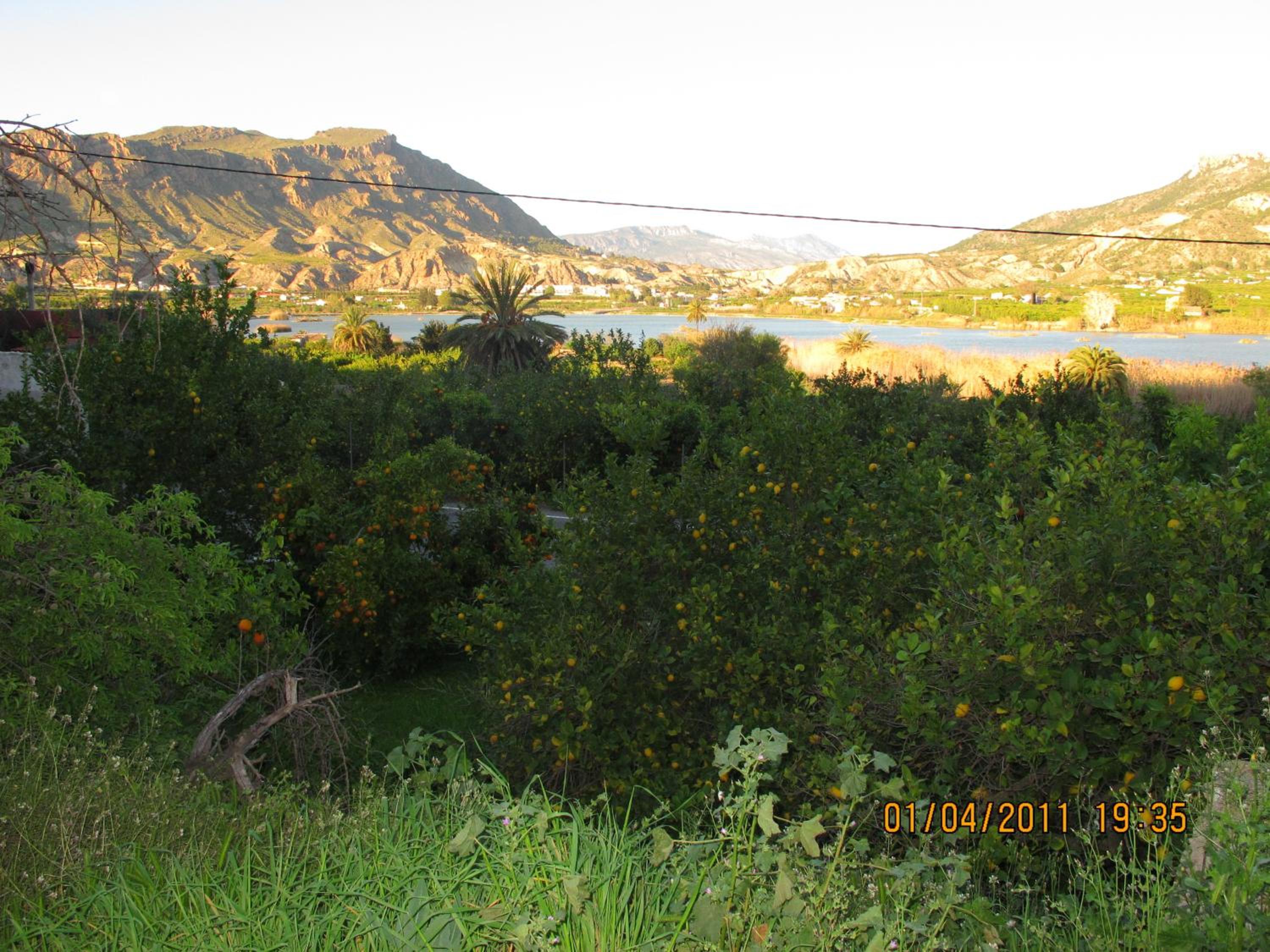 Photo 62