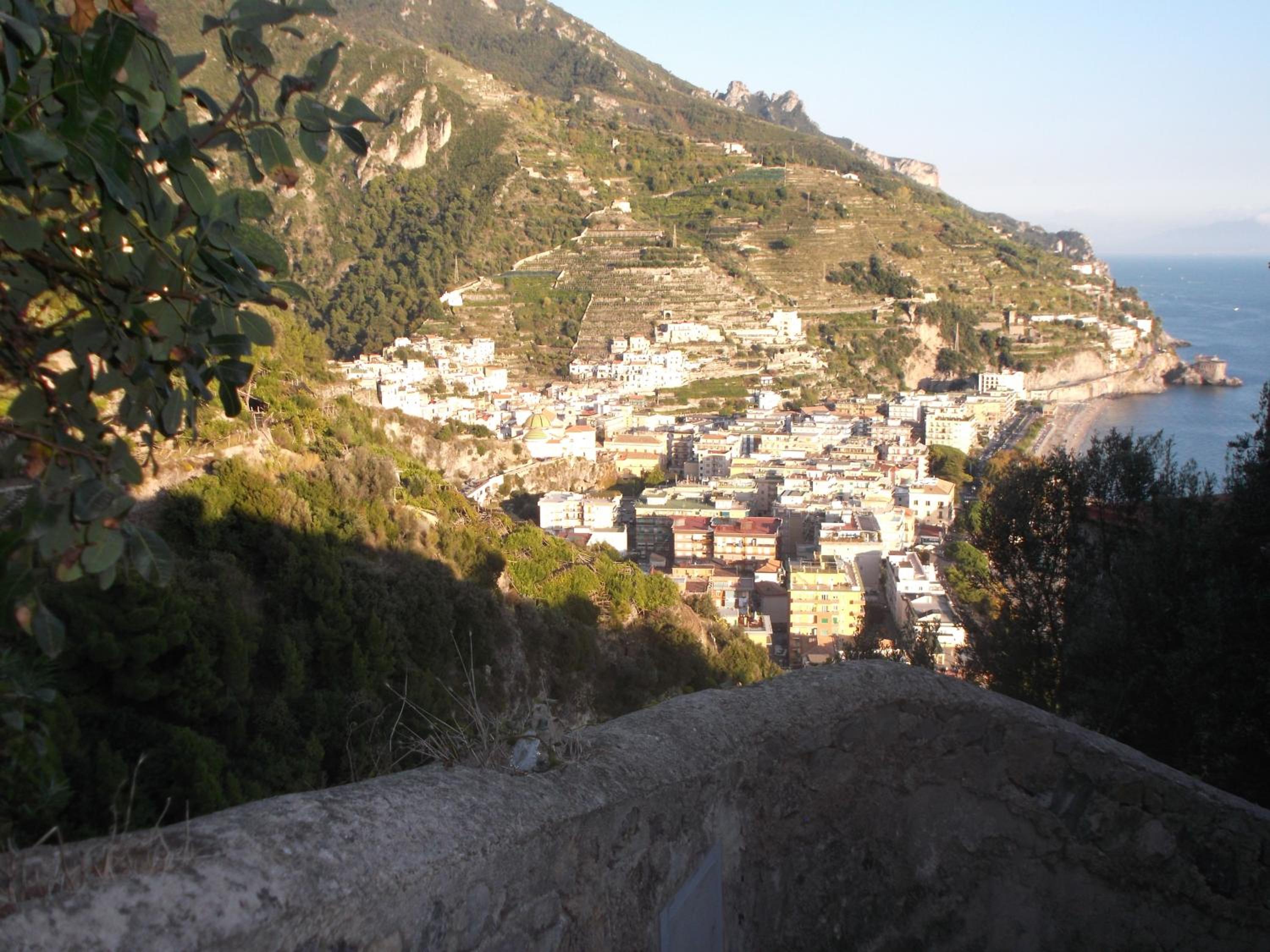 Photo 43