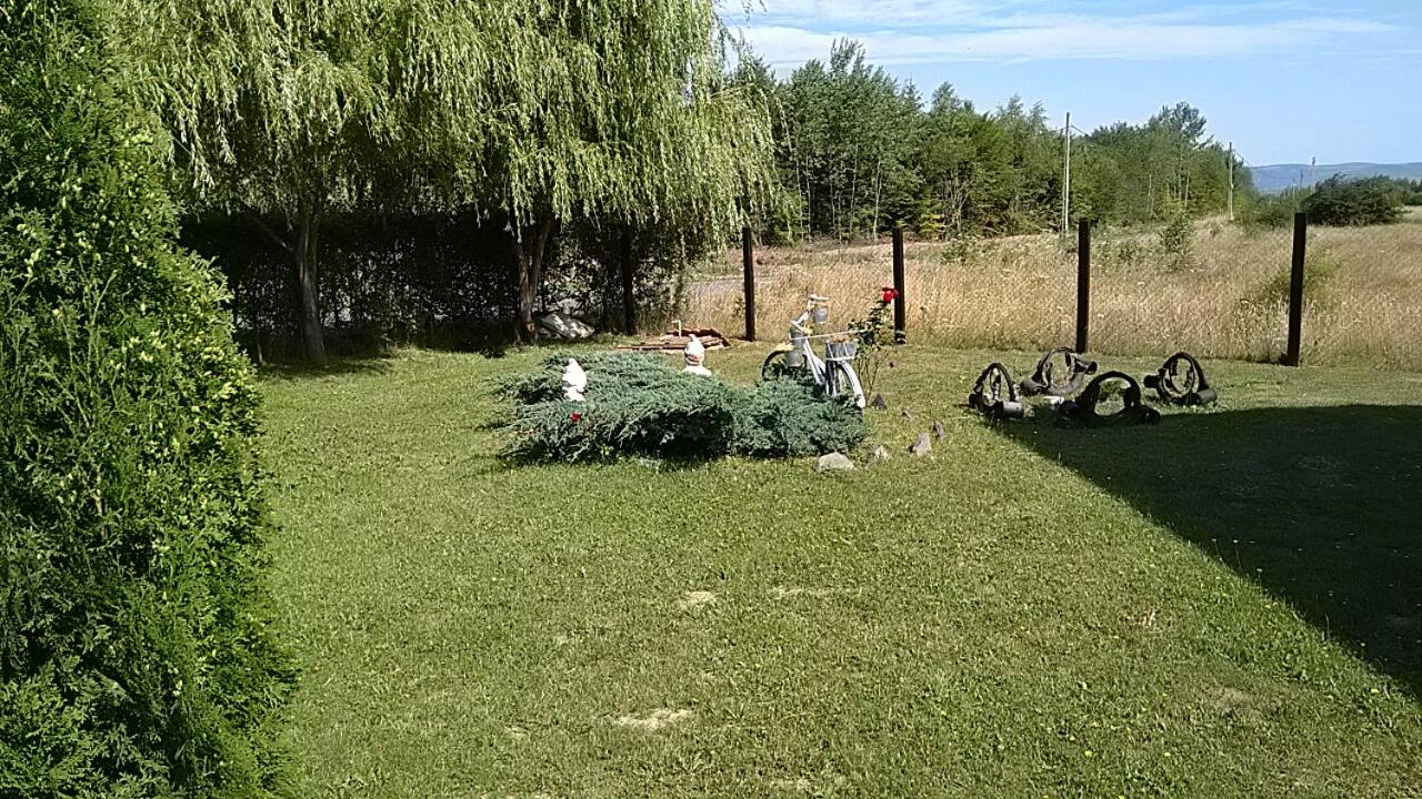 Photo 58