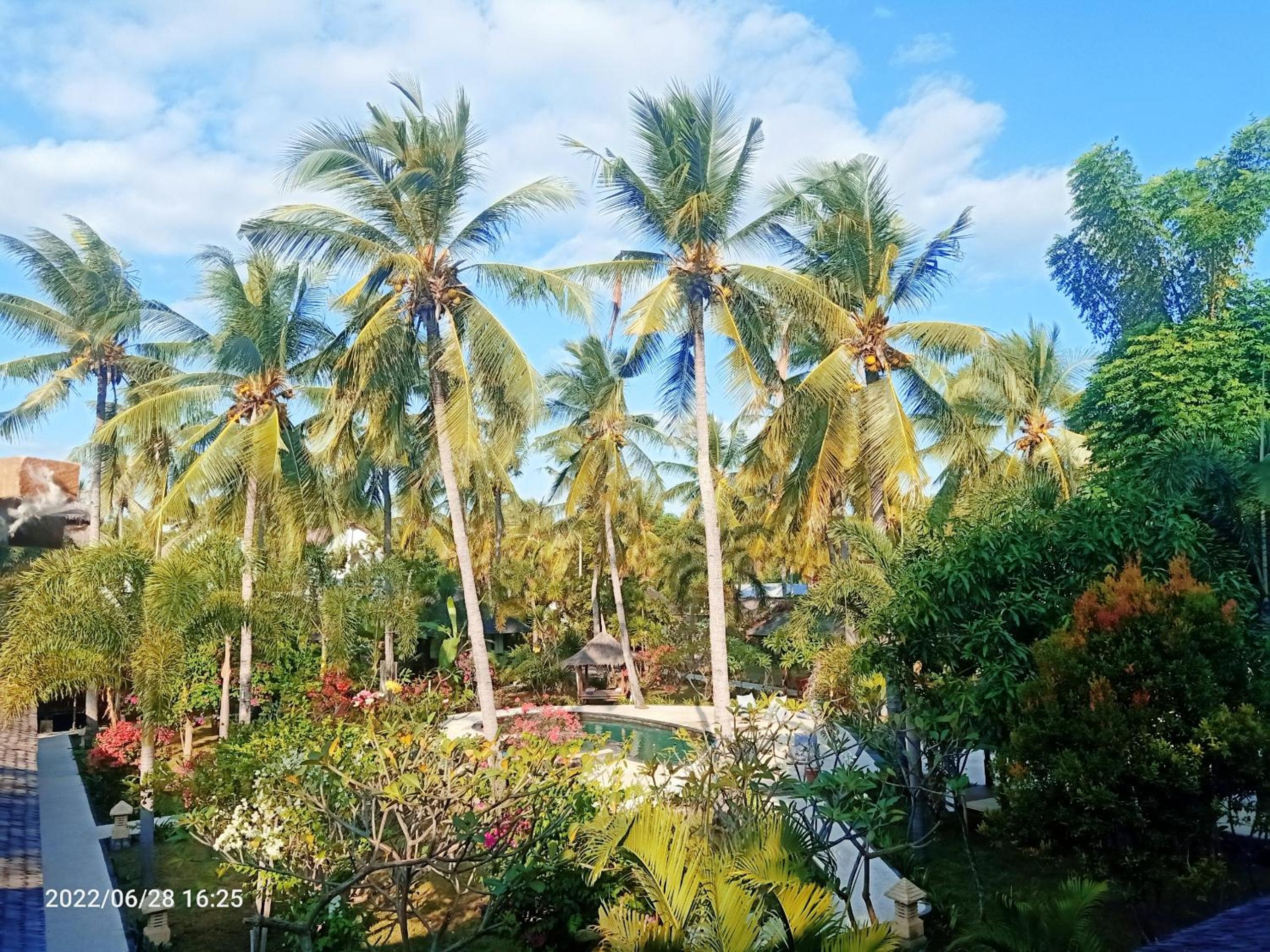 Trawangan Oasis