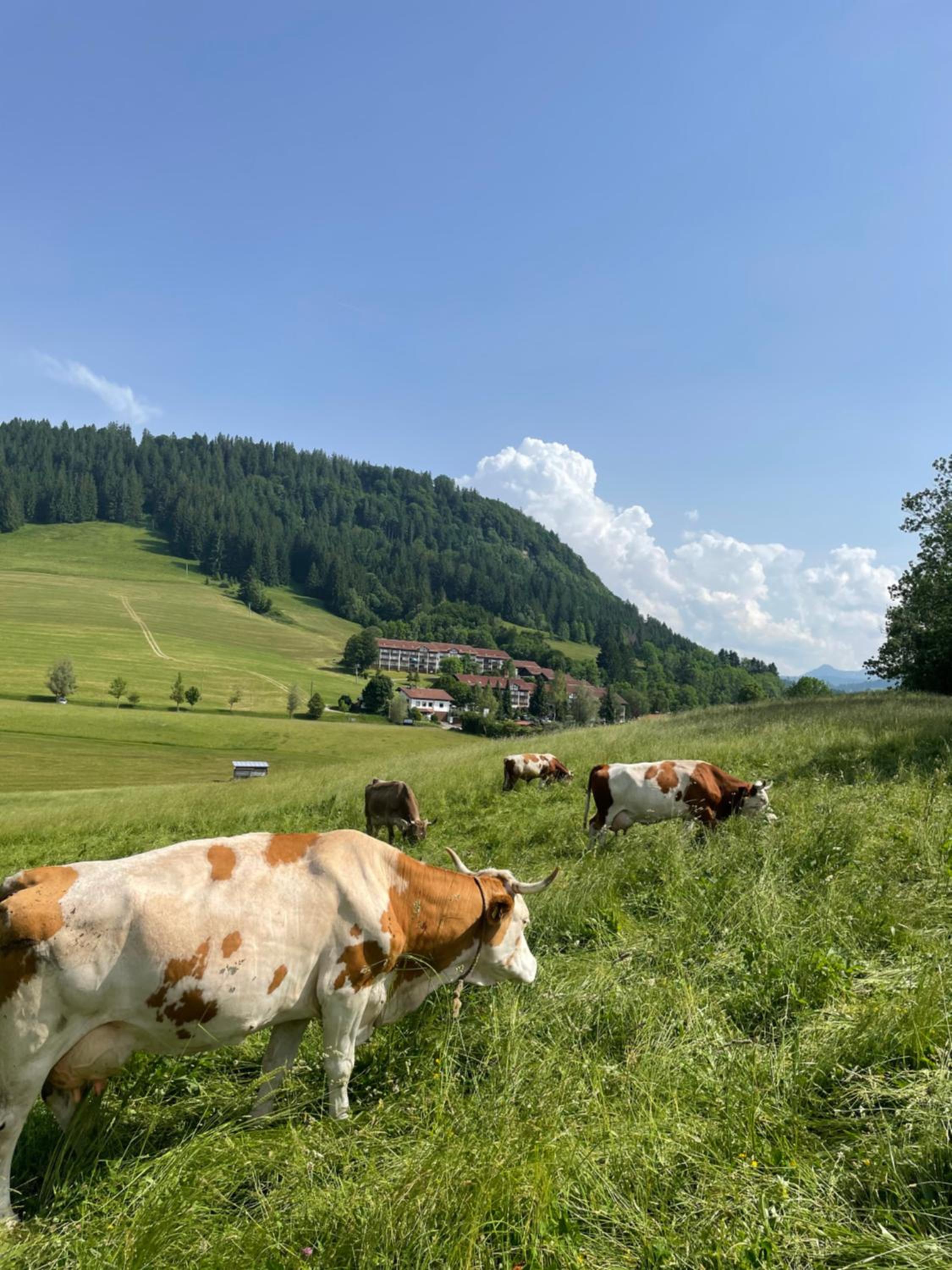 Ferienwohnung Oberallgäu Ferienpark mit Schwimmbad