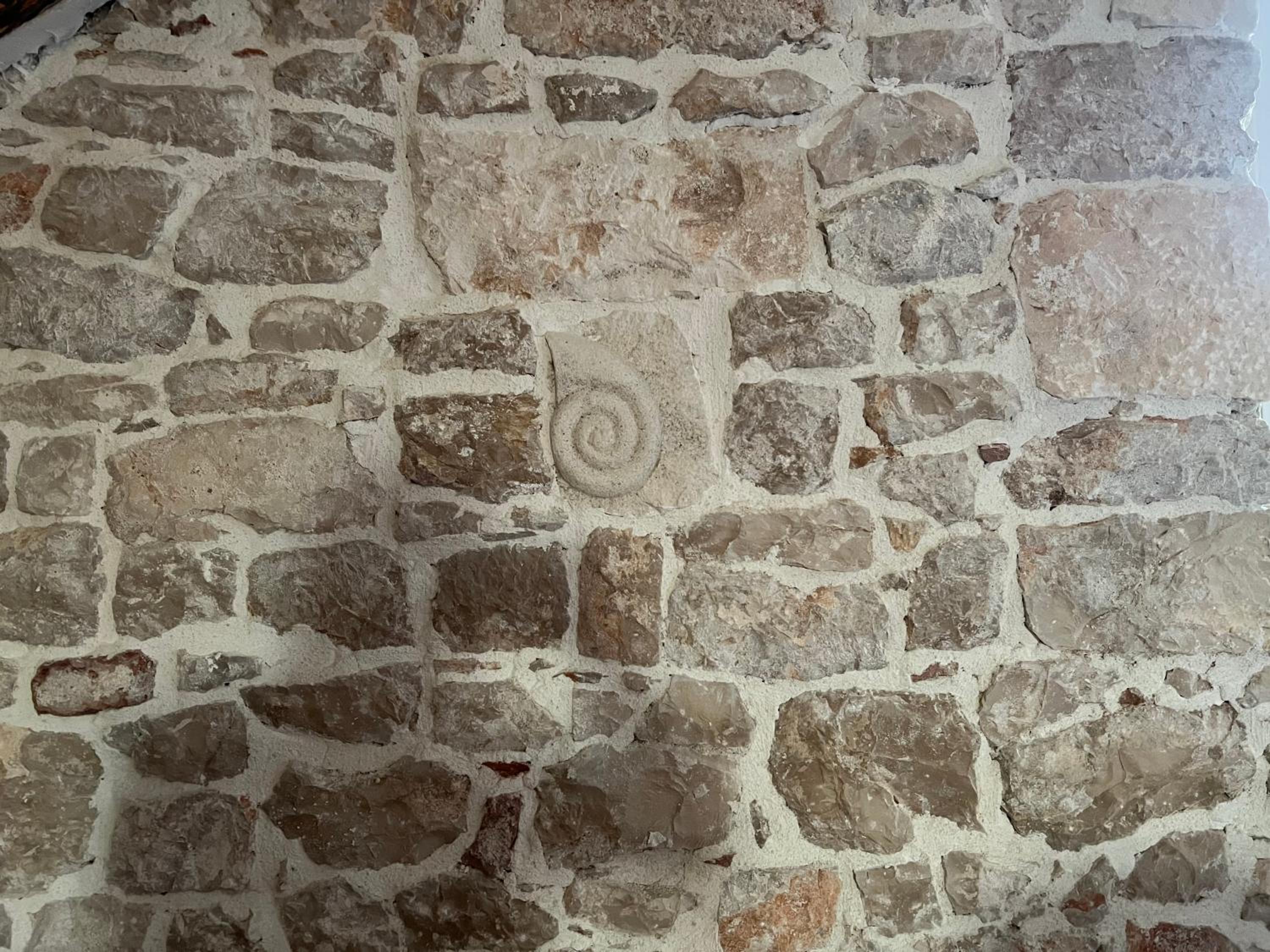 Photo 31