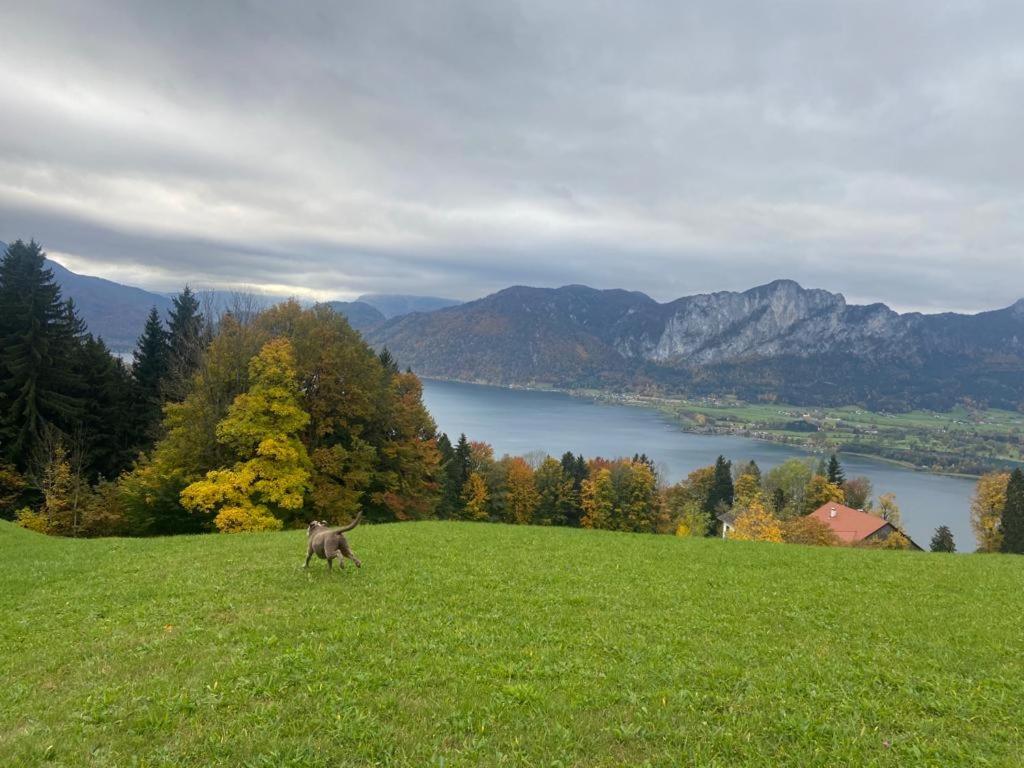 Chalet Kultique