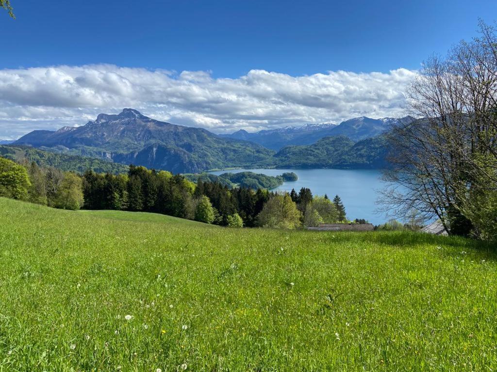 Chalet Kultique
