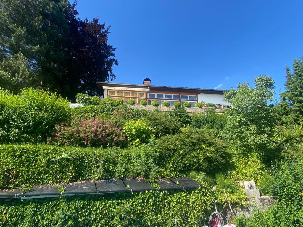Chalet Kultique