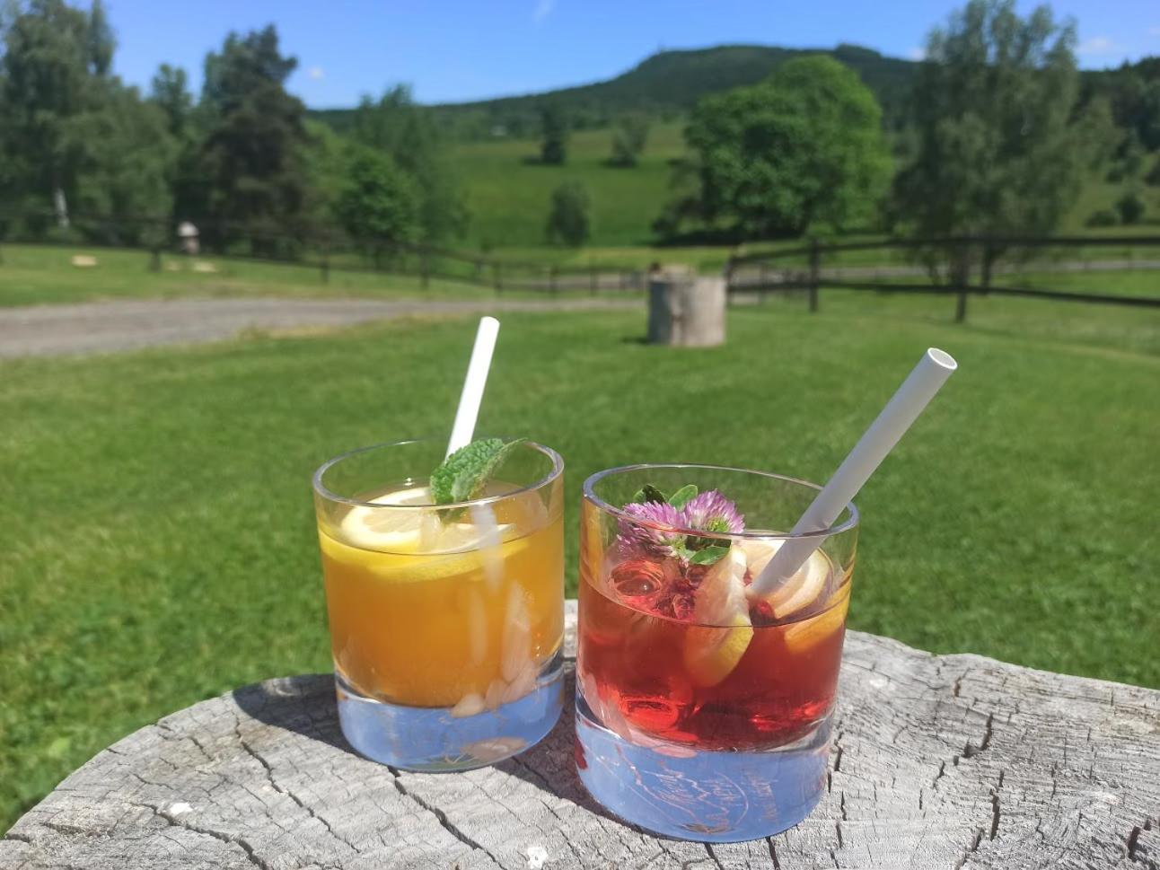 Resort Hvozd