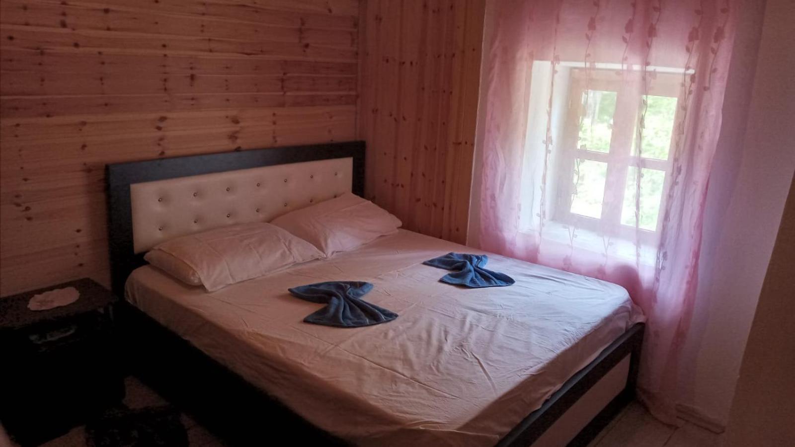 Bujtina Carku