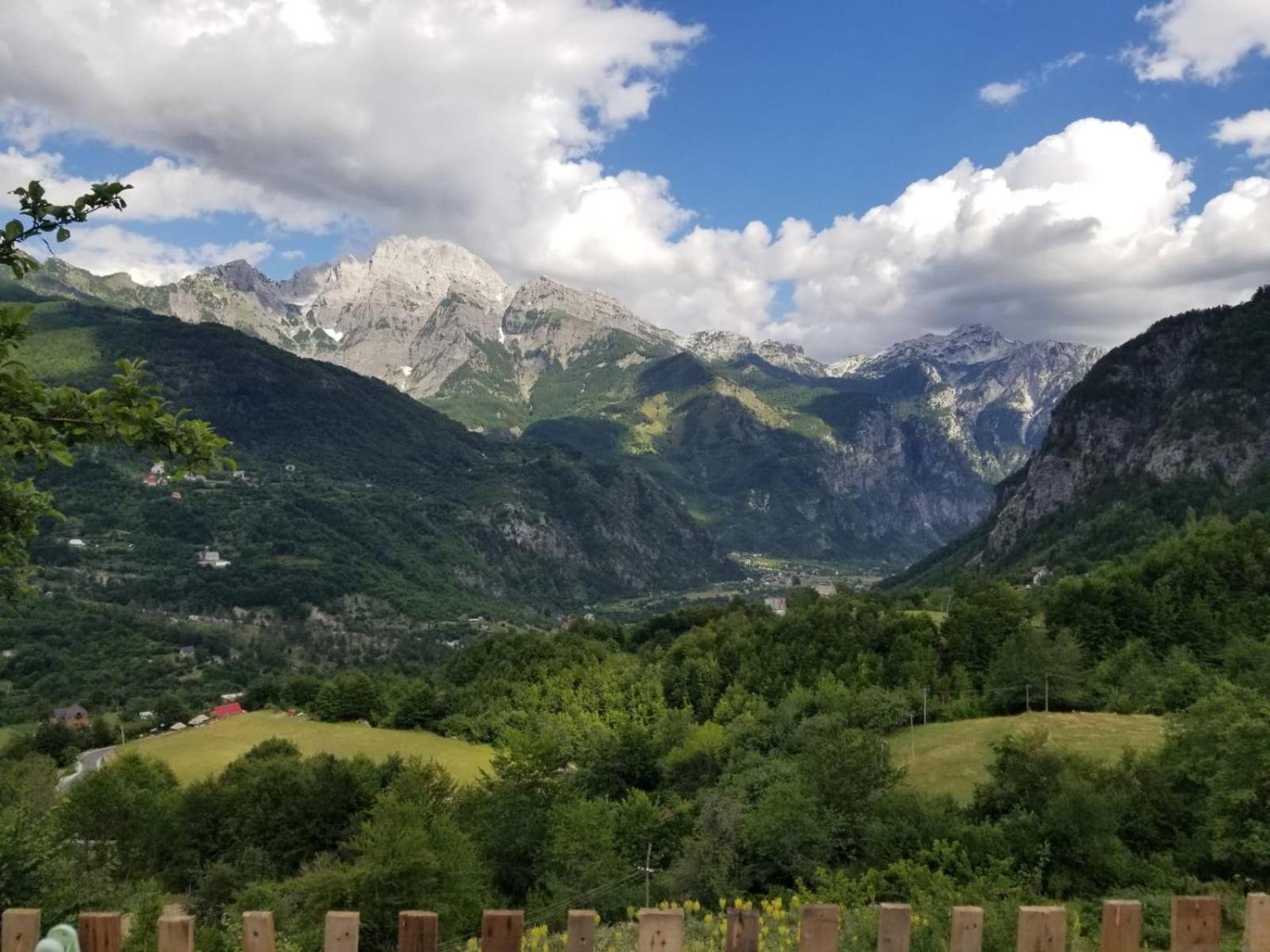 Bujtina Carku