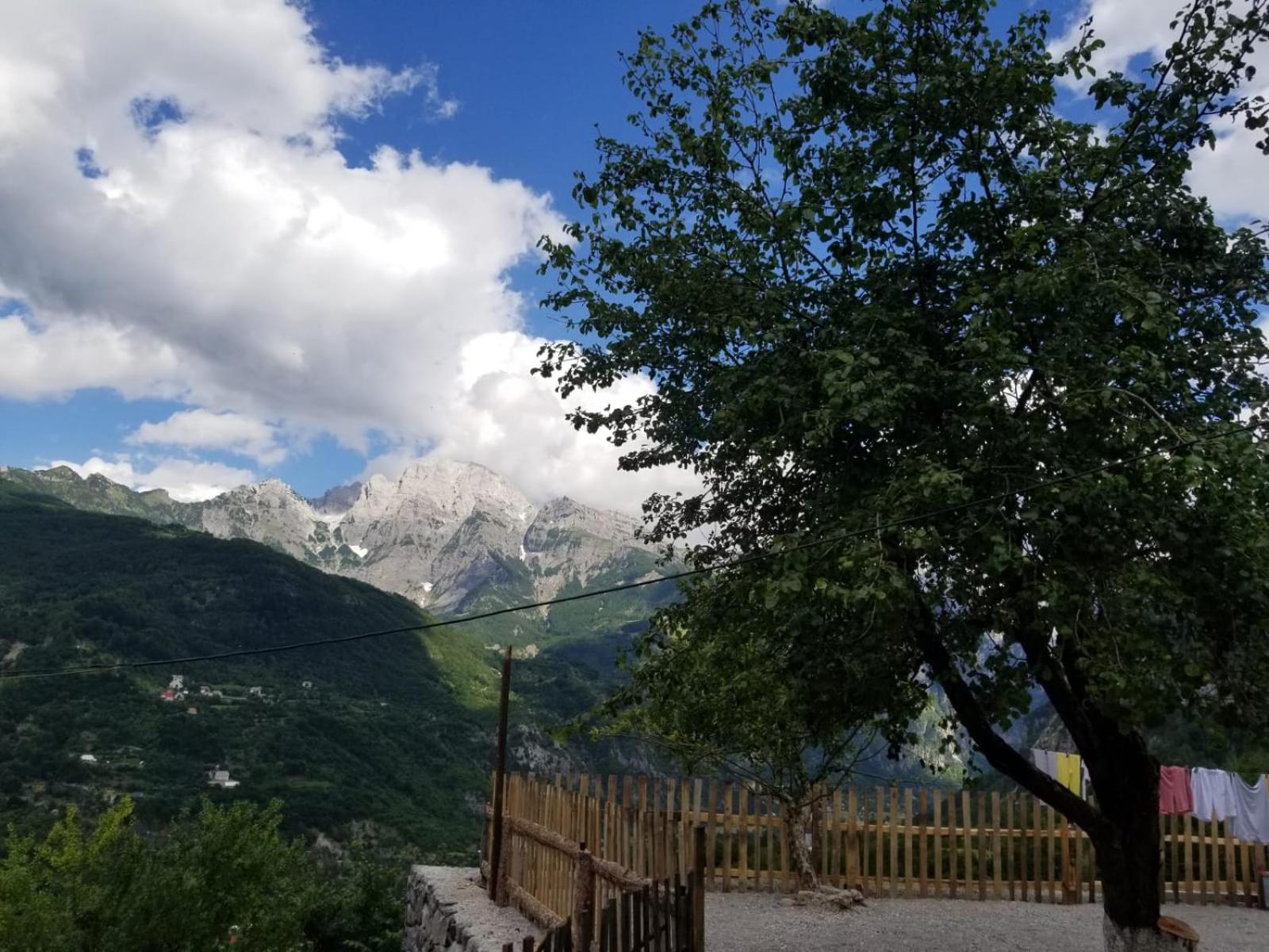 Bujtina Carku