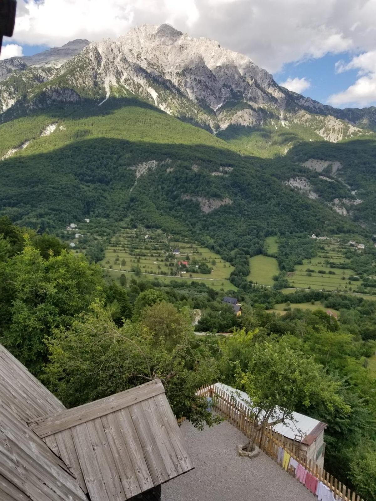 Bujtina Carku