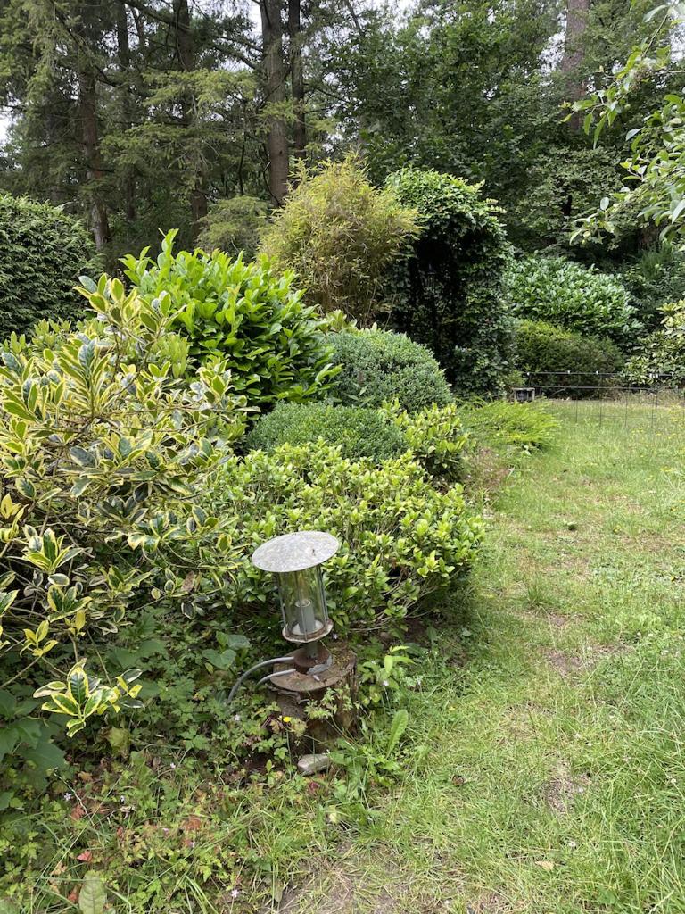 Photo 21