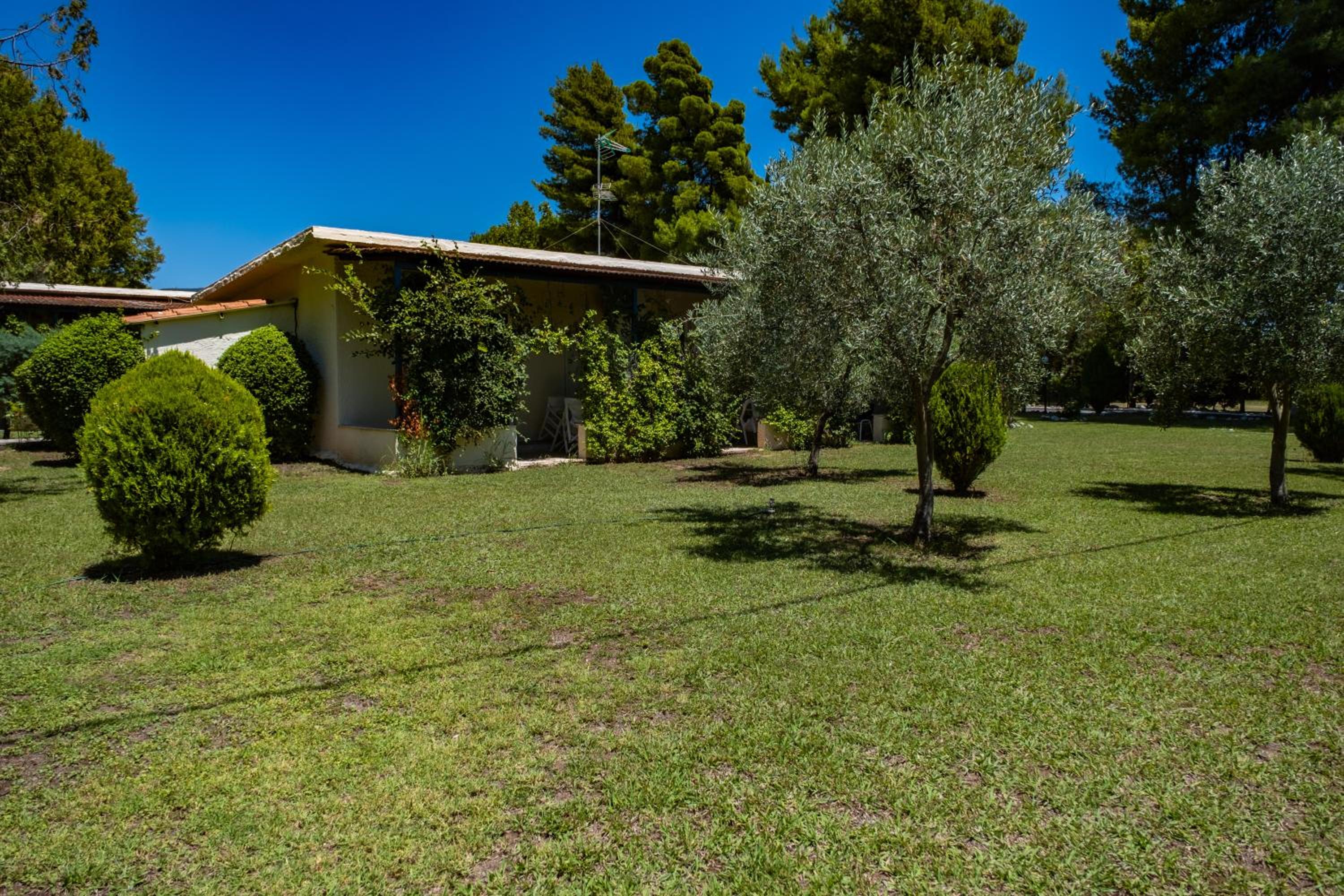 Hotel Tsamadanis Hotel & Bungalows Friends Family - Image 1