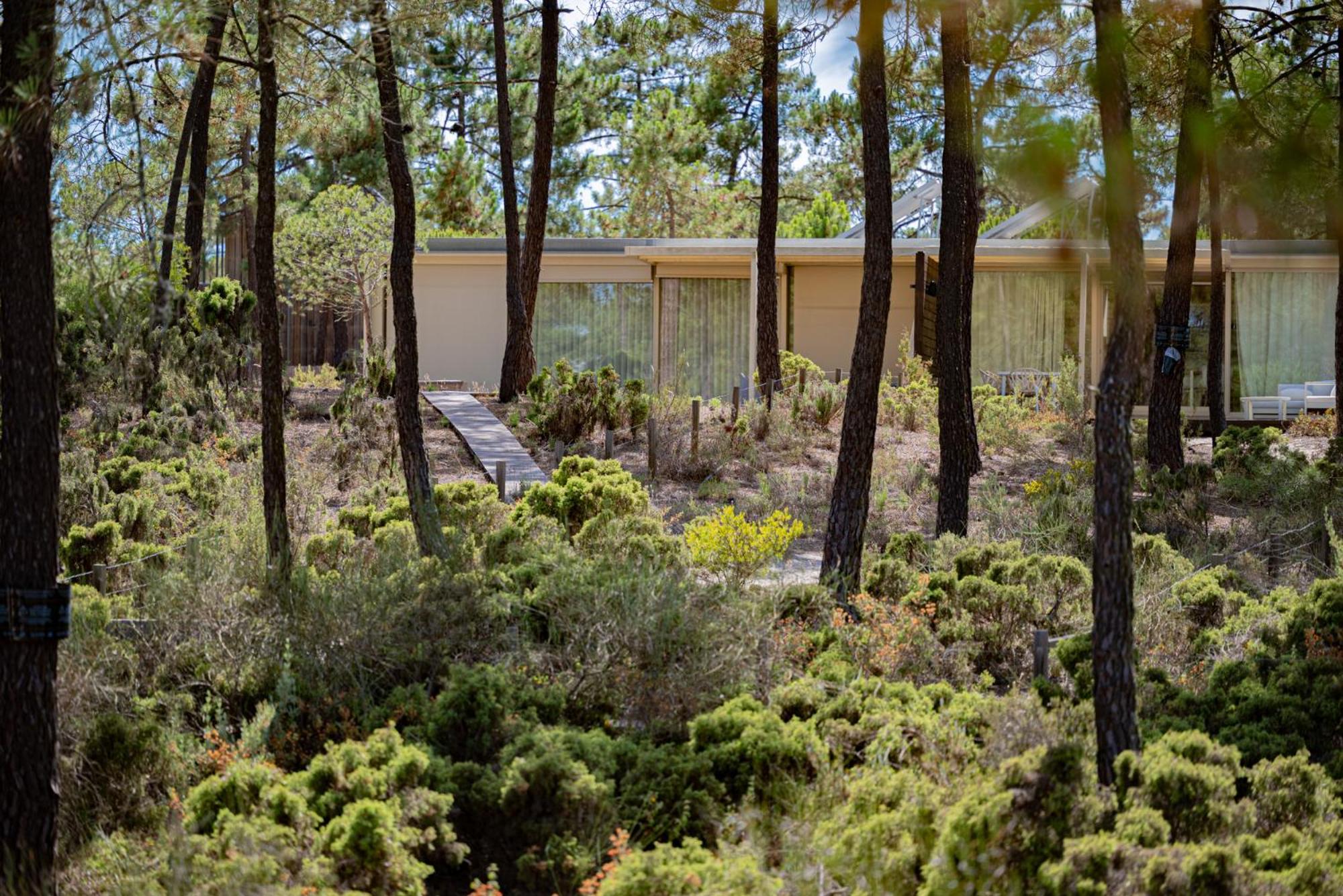 Hotel Pestana Troia Eco-Resort & Residences - Image 1