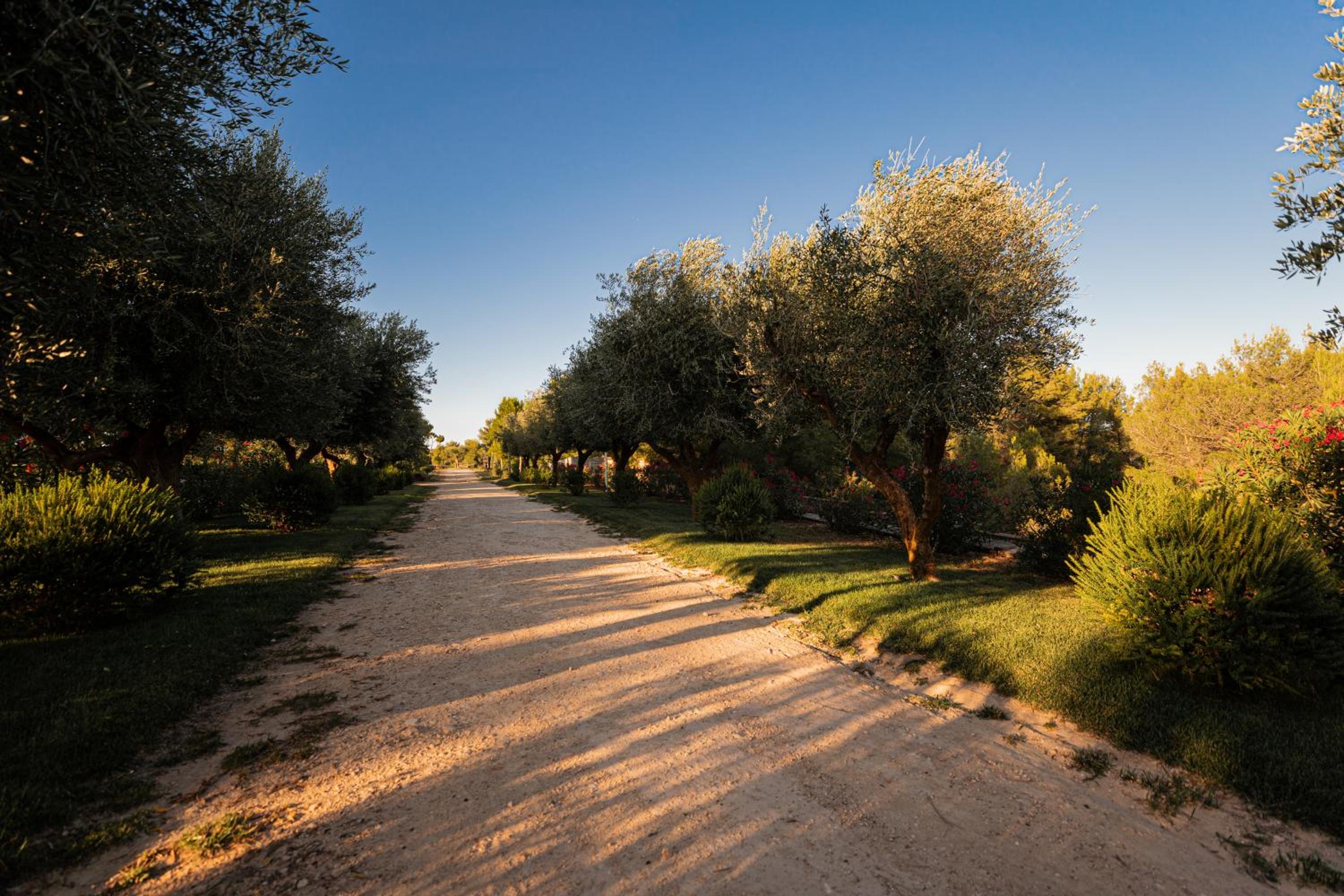 Mastropà Exclusive Resort, photo 156