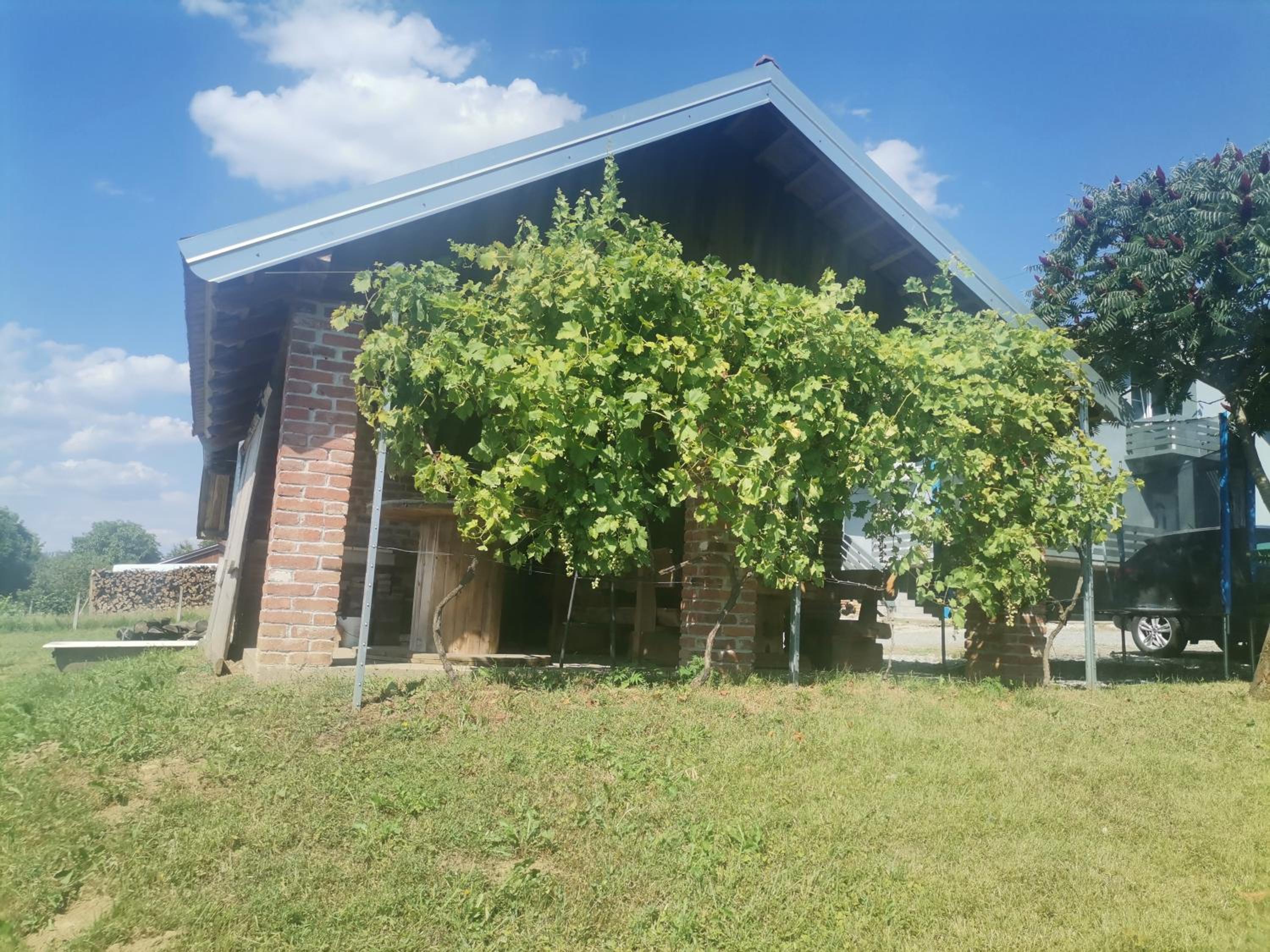 Apartman ŠIPA view 5