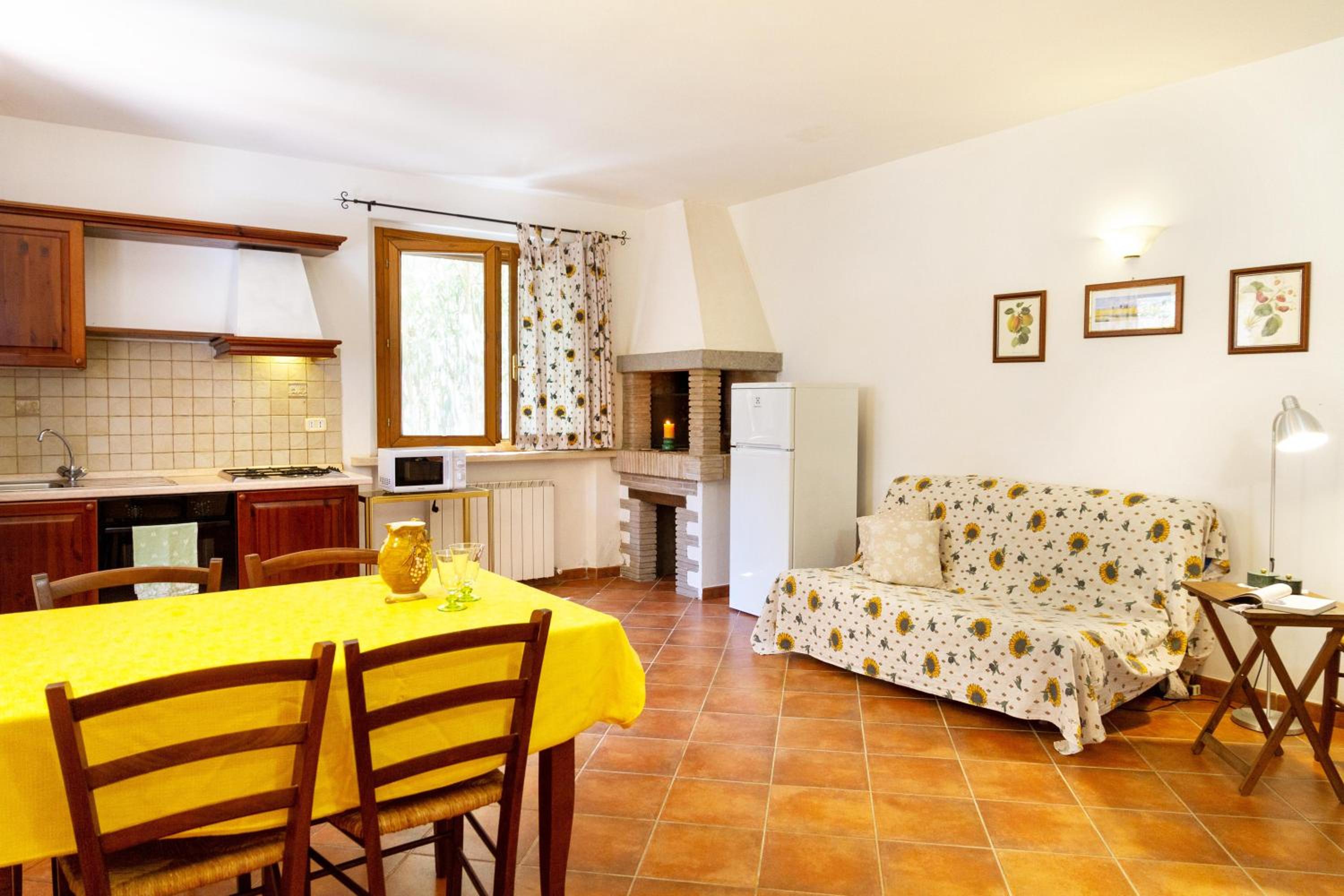 Bilo Anemone photo 5