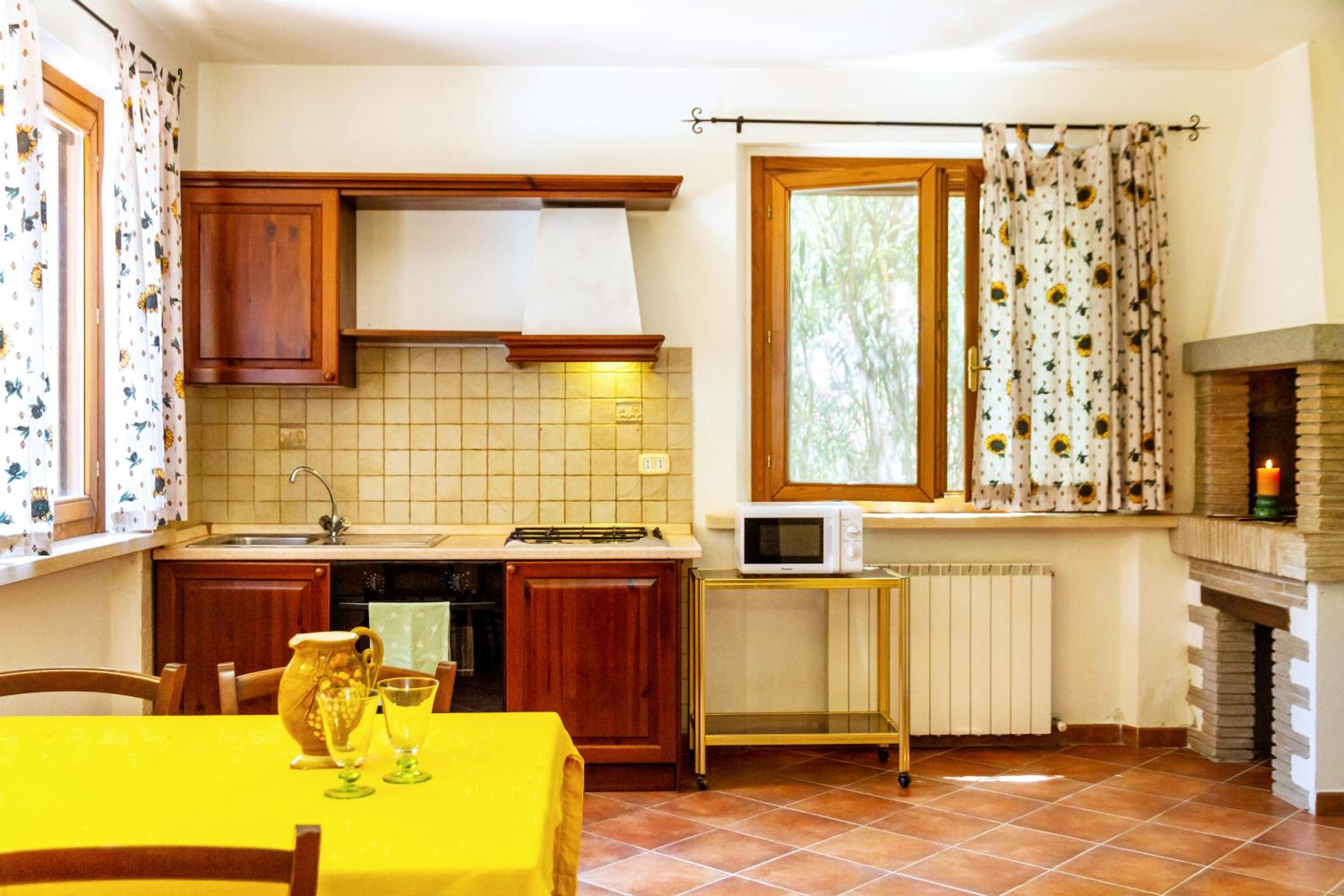 Bilo Anemone photo 4