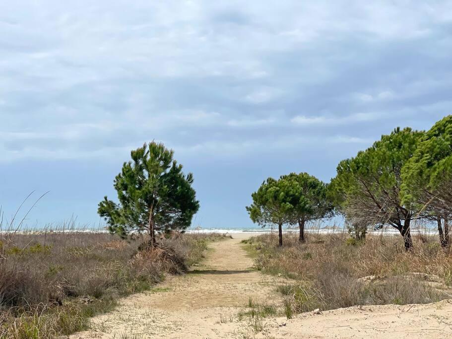 Blue Garden Villa, Gjiri i Lalezit