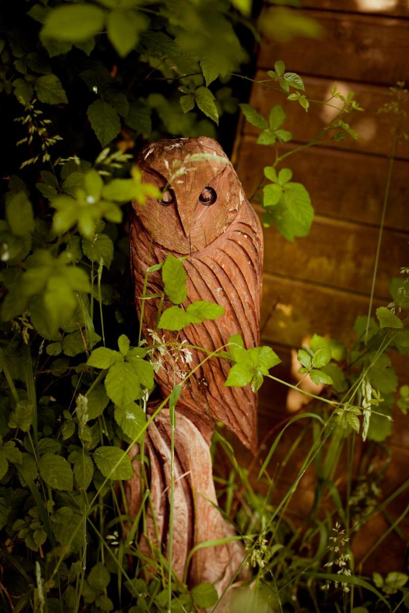 Photo 45
