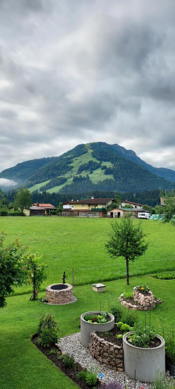 Steigental view 5