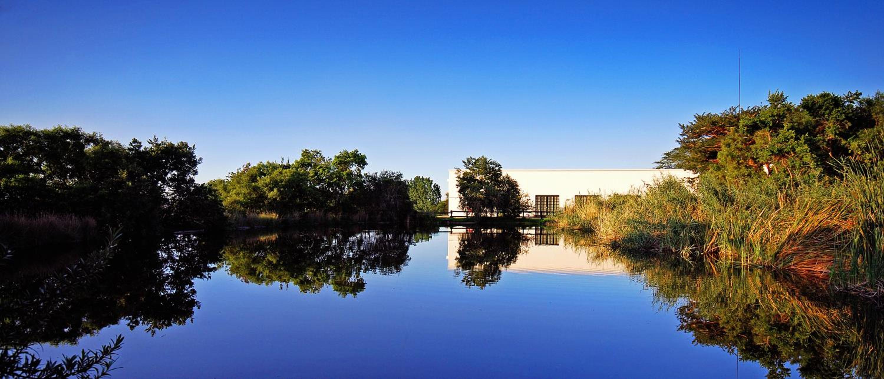 Johannesburg Vacations - Indaba Hotel, Spa Conference Center - Property Image 3
