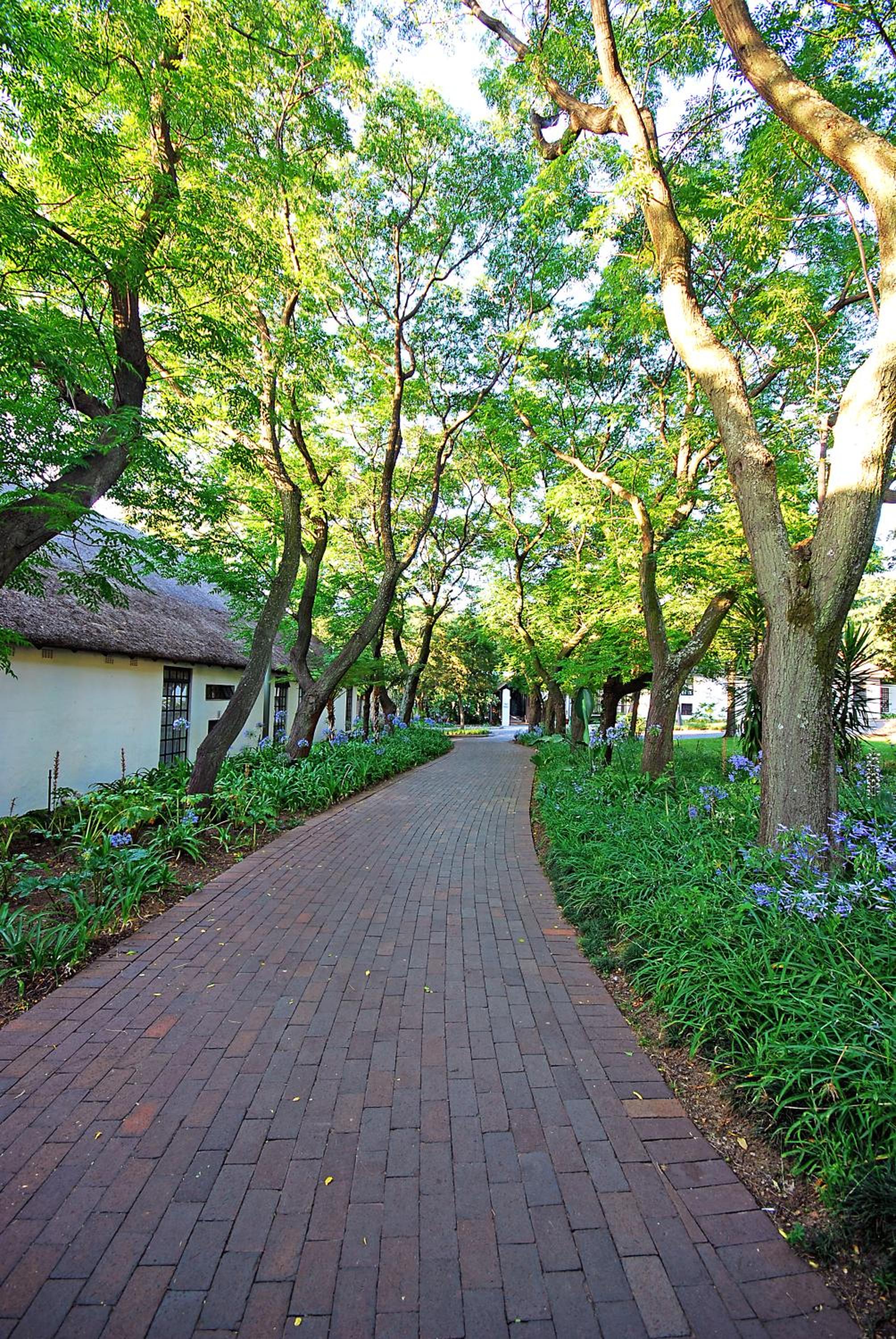 Johannesburg Vacations - Indaba Hotel, Spa Conference Center - Property Image 11