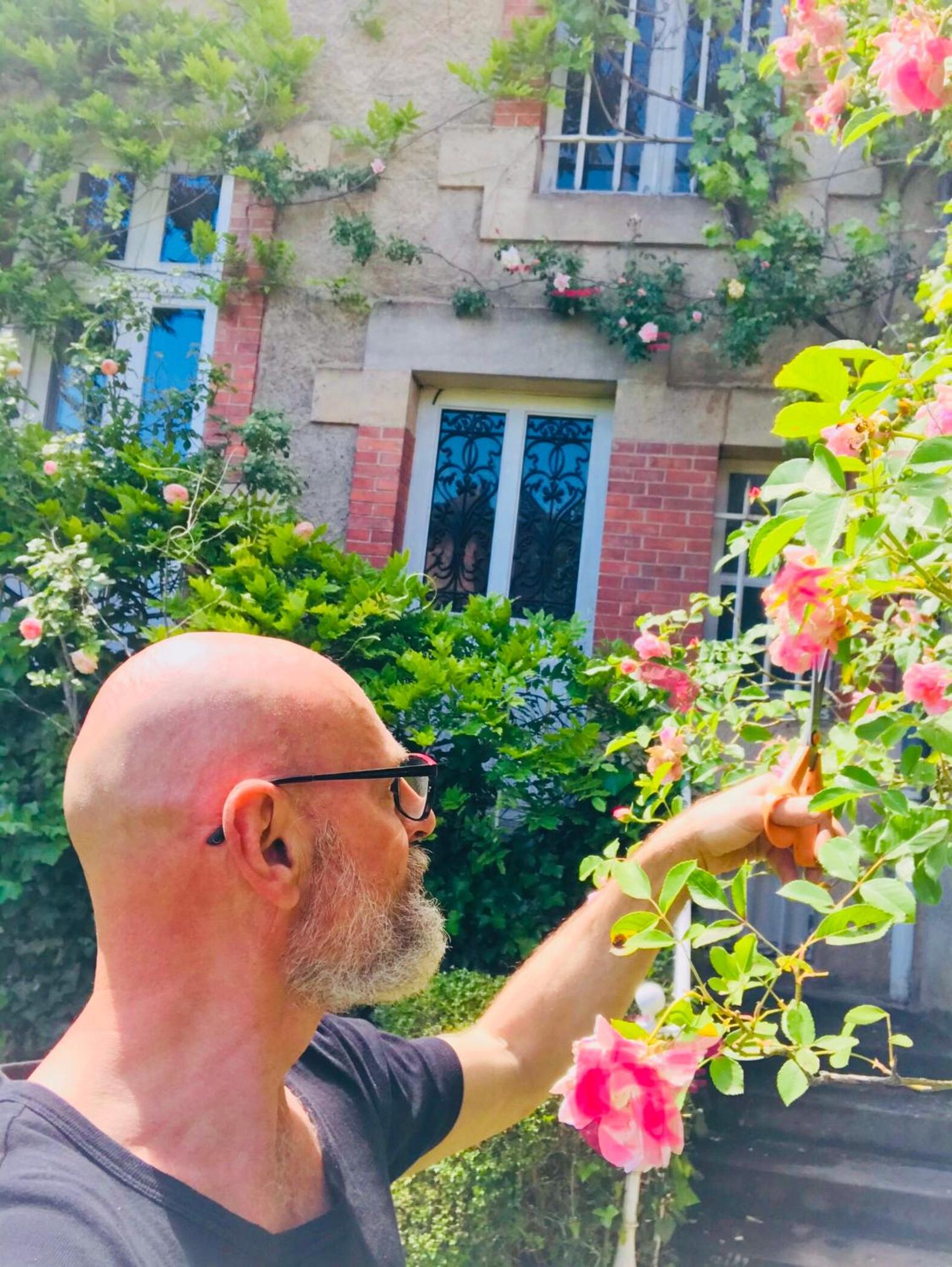 La Maison des Roses, photo 27