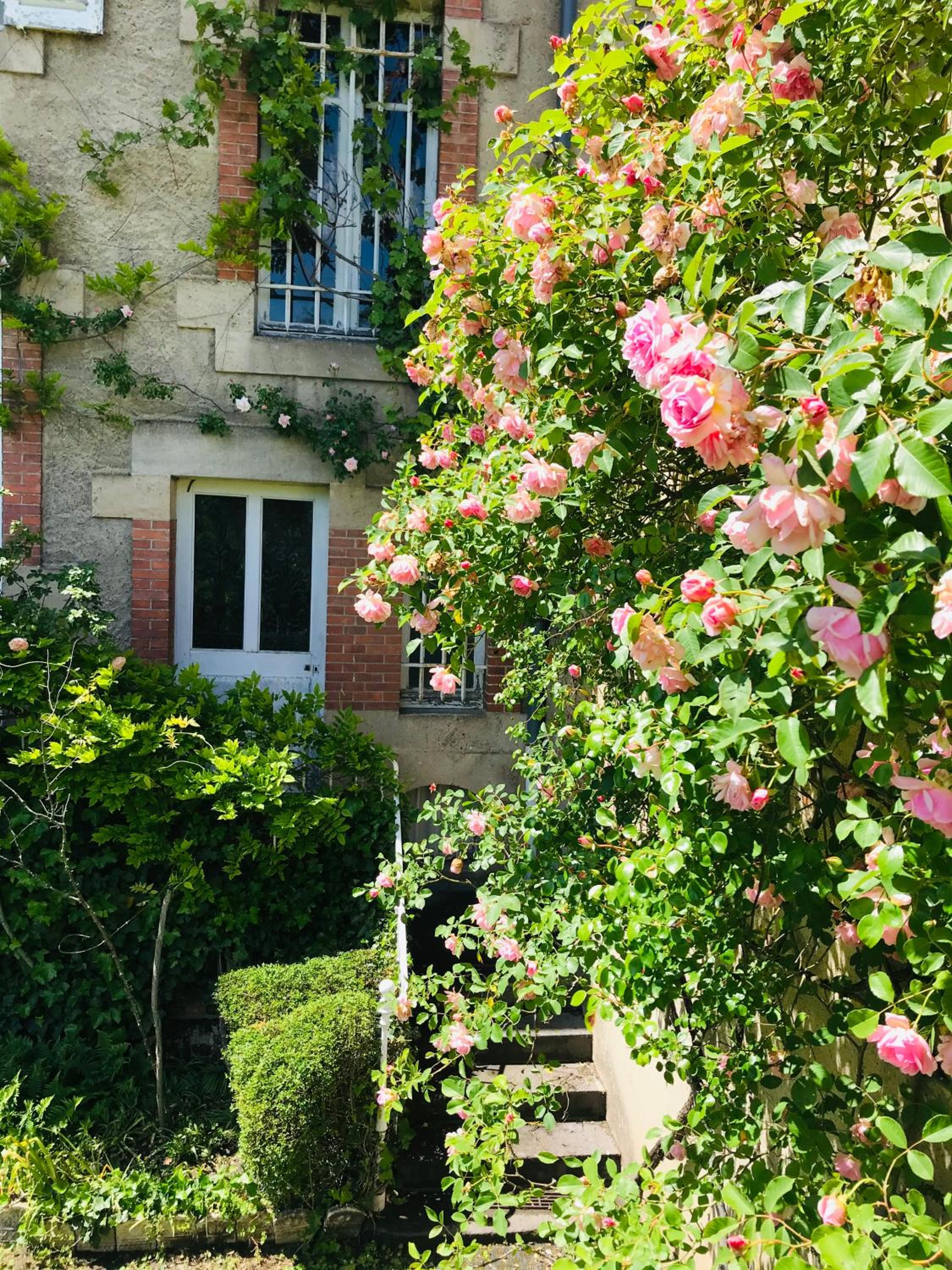 La Maison des Roses, photo 20