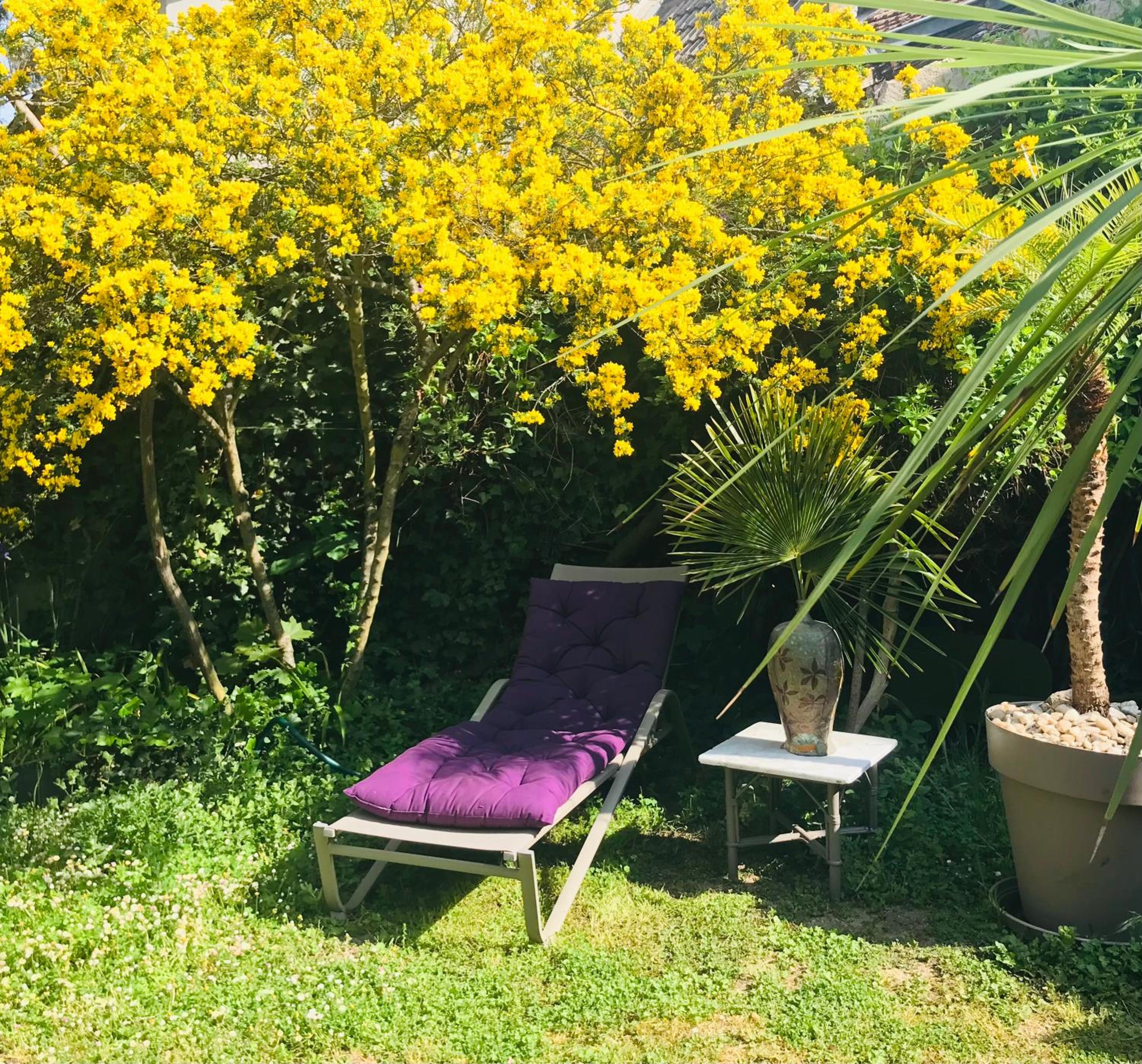 La Maison des Roses, photo 16