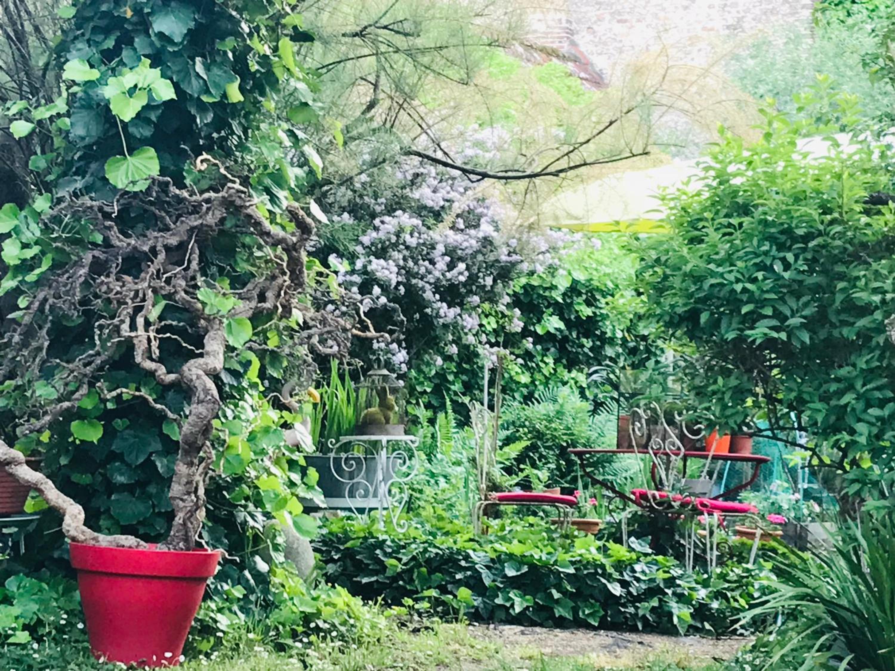 La Maison des Roses, photo 29