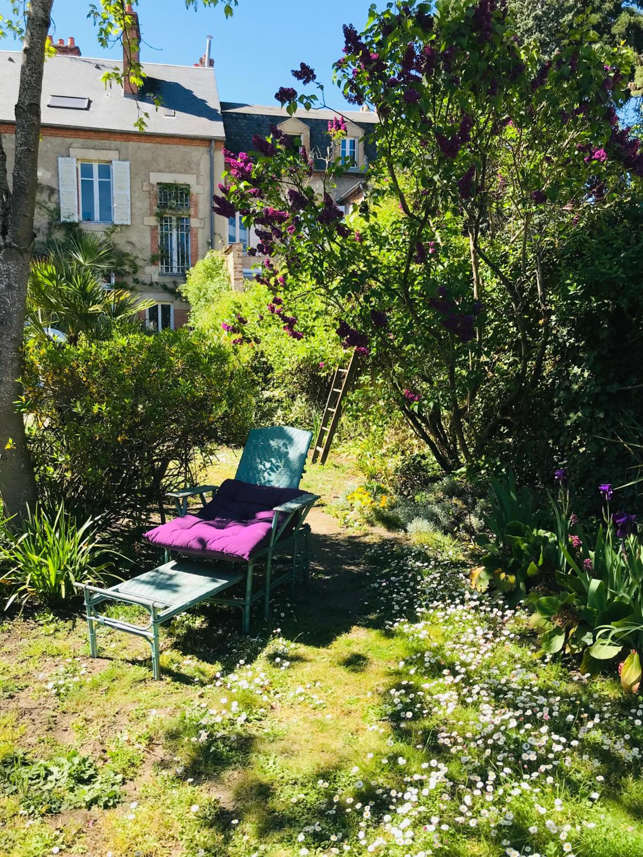 La Maison des Roses, photo 2