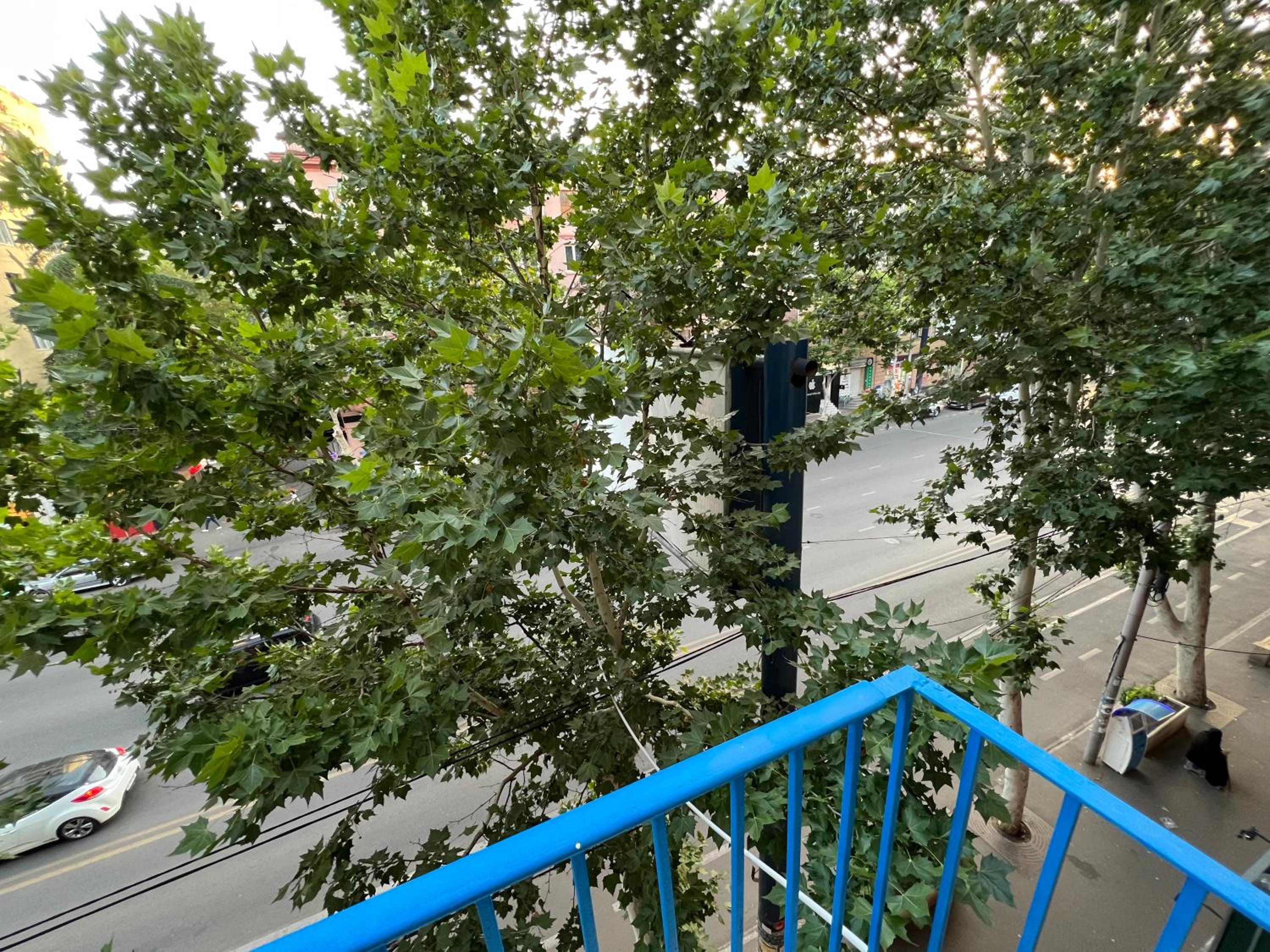 Pekini street apartment view 5