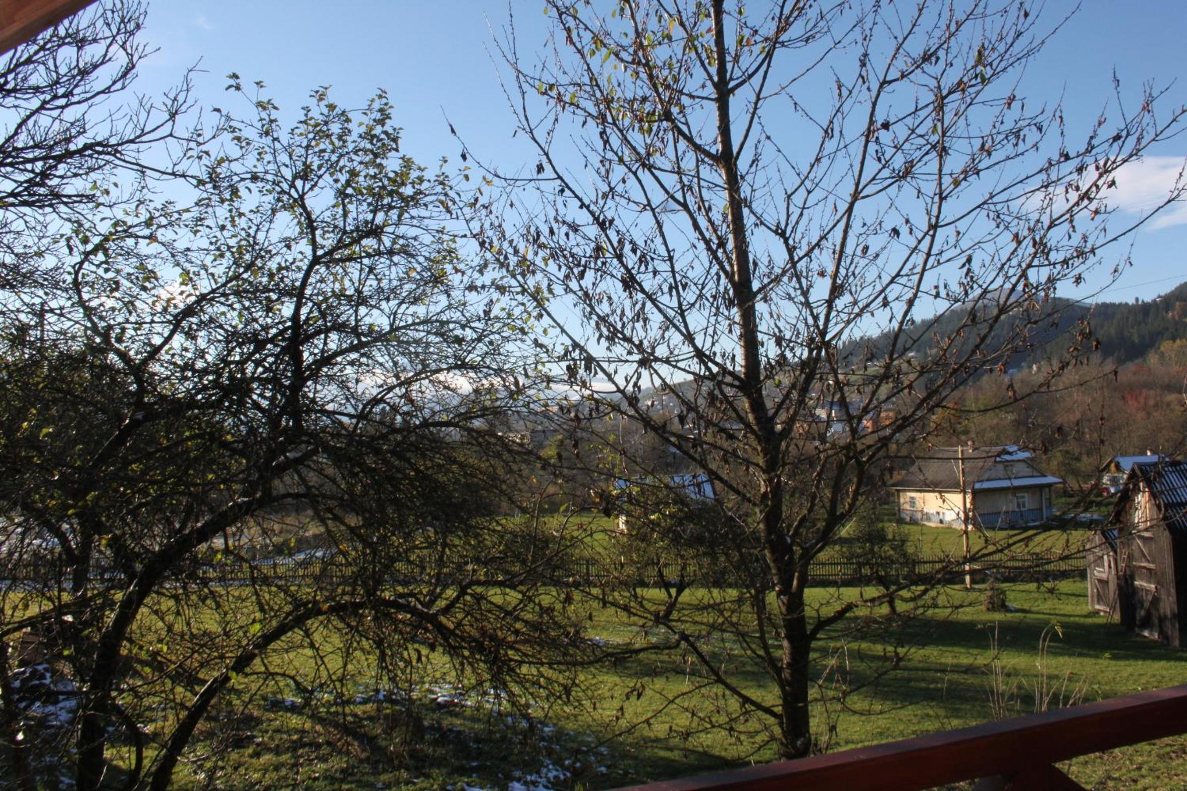 Photo 28
