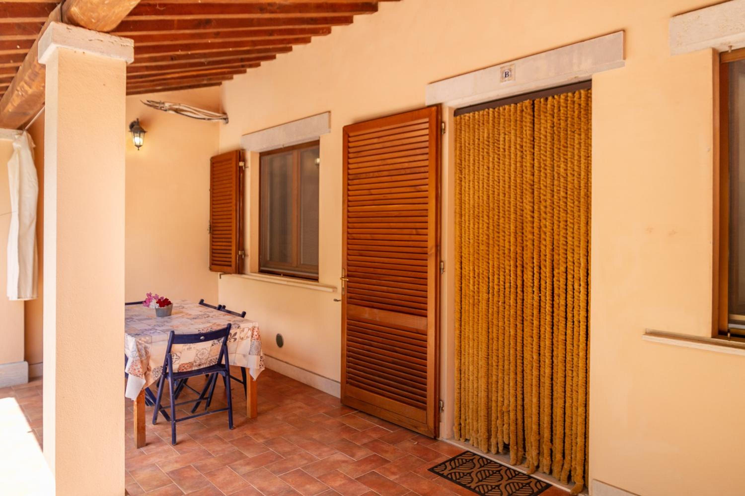 Trilo Begonia photo 5