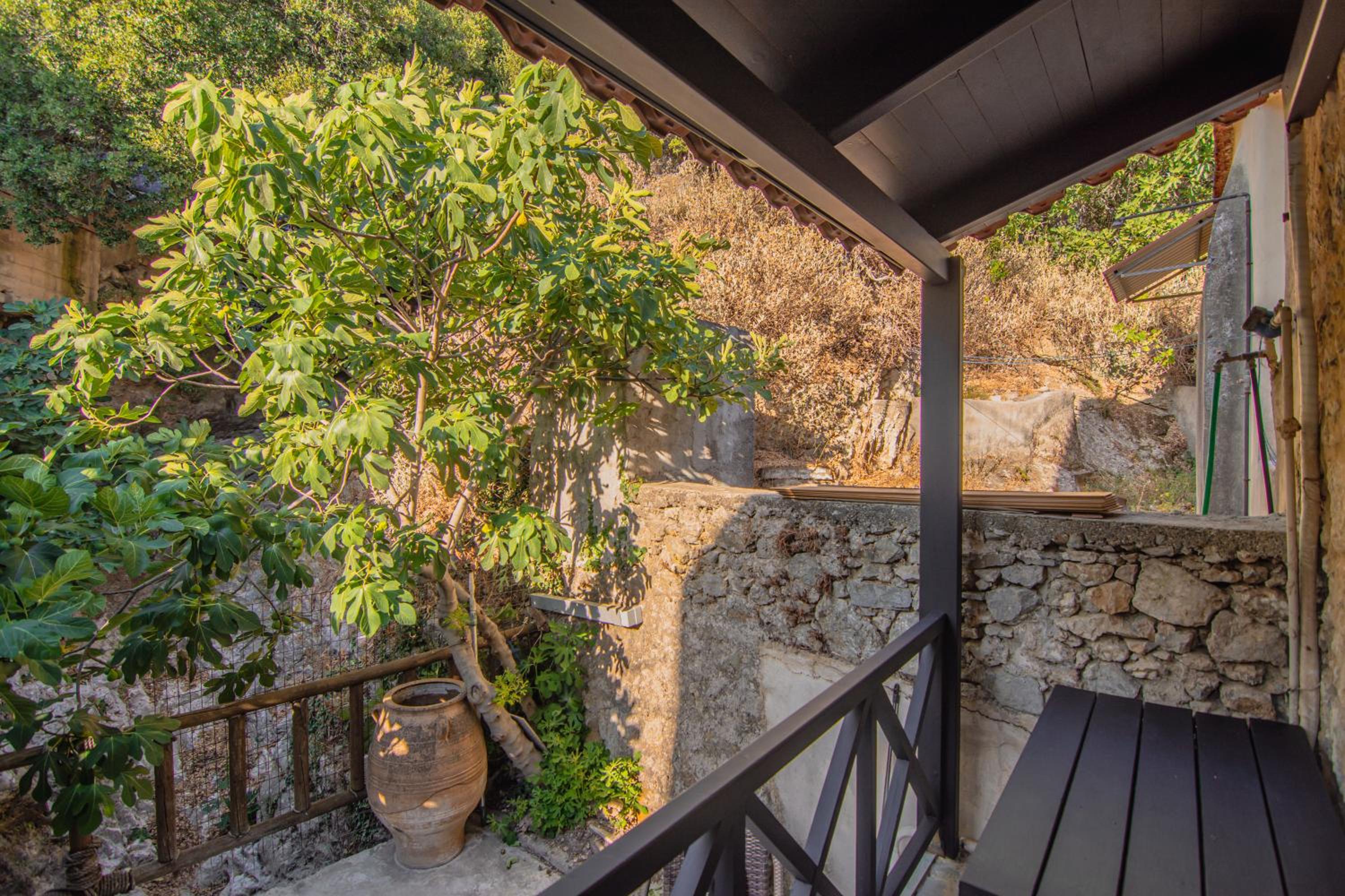 The Rooster's House view 4