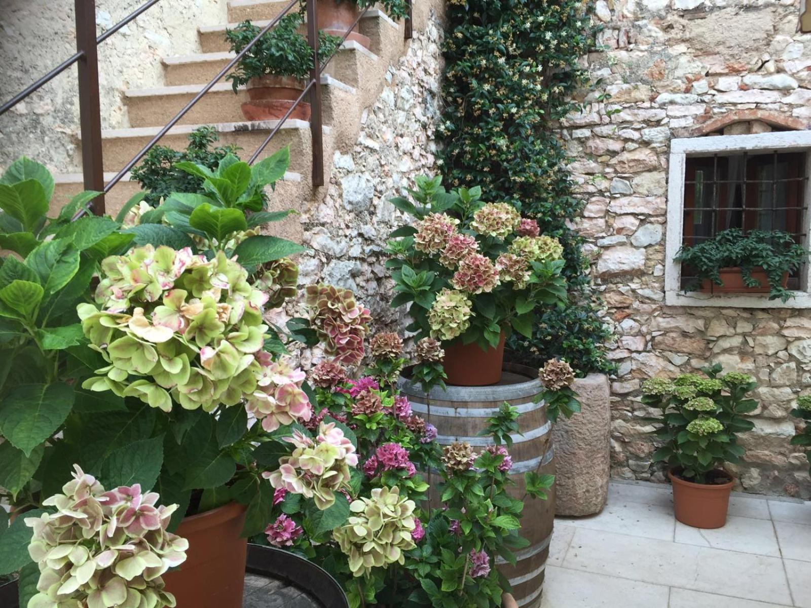 Agriturismo Ca' Verde view 5