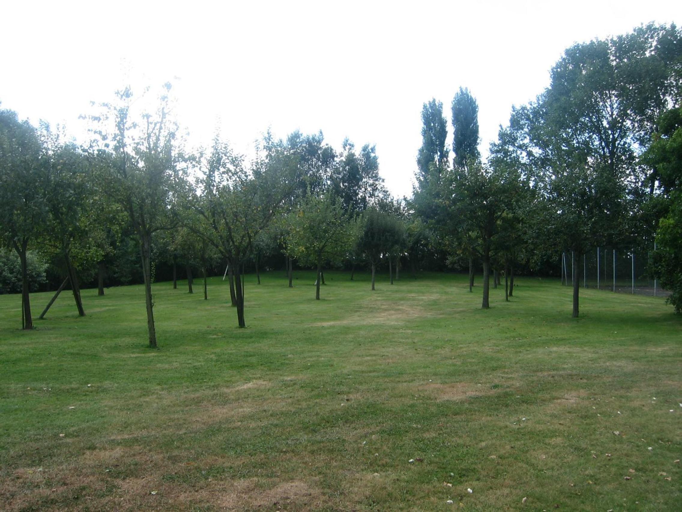 Photo 19